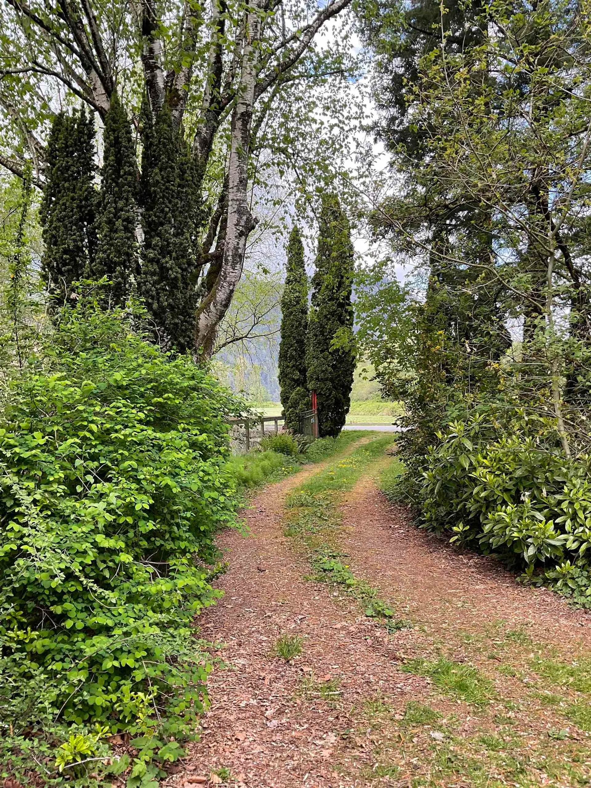 Property at 142 Kilby Road, Harrison Mills, BC