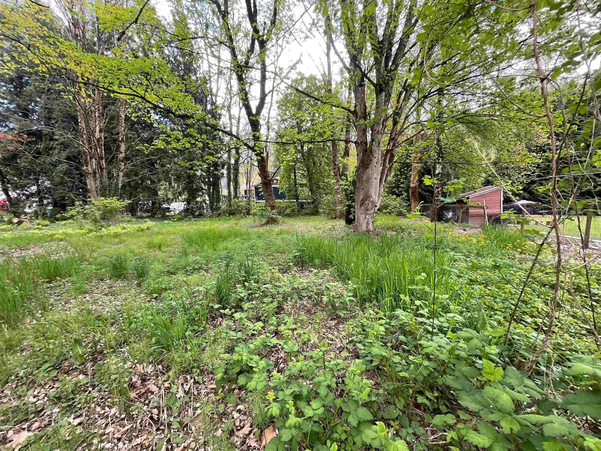 Property at 142 Kilby Road, Harrison Mills, BC