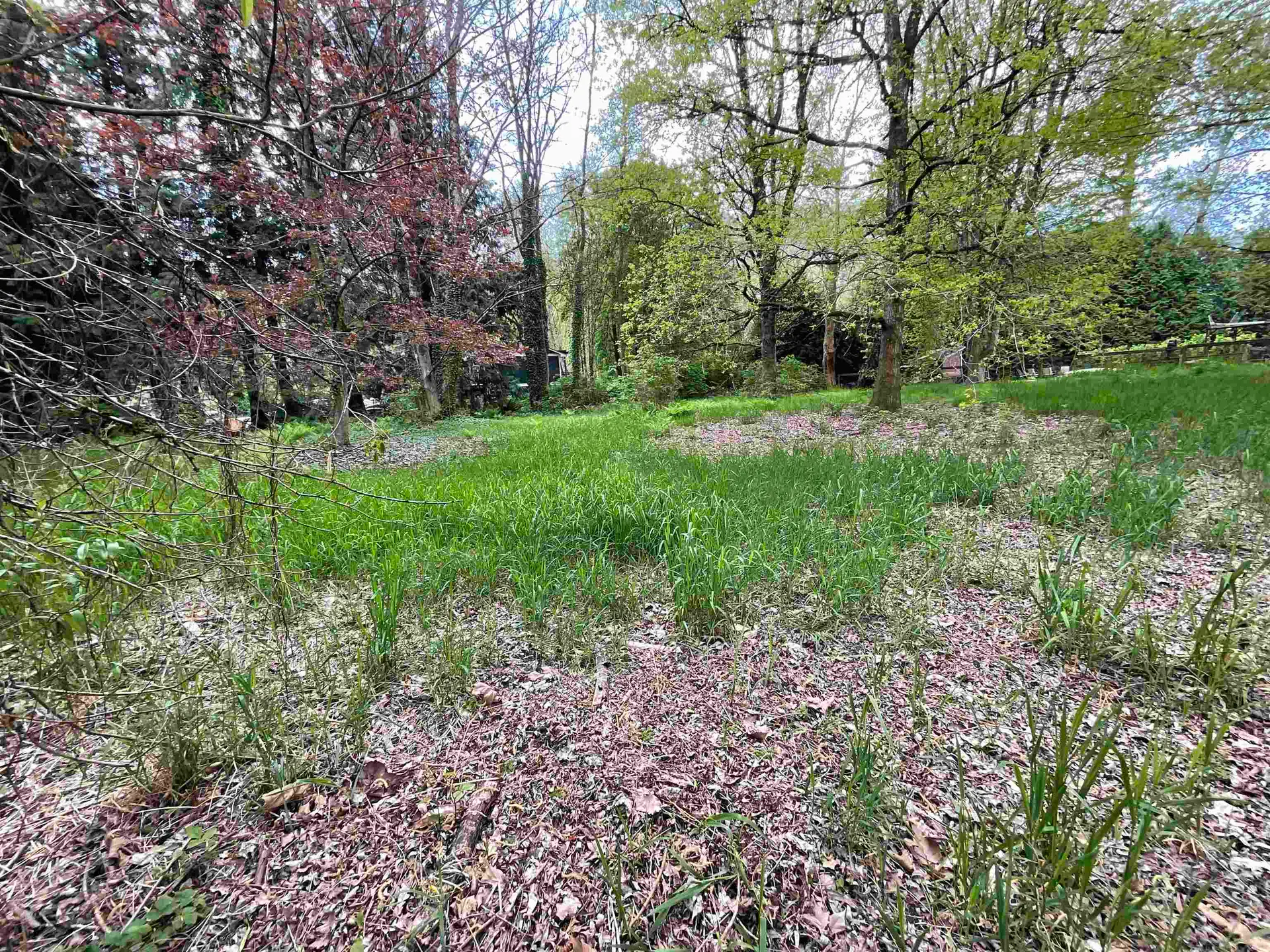 Property at 142 Kilby Road, Harrison Mills, BC