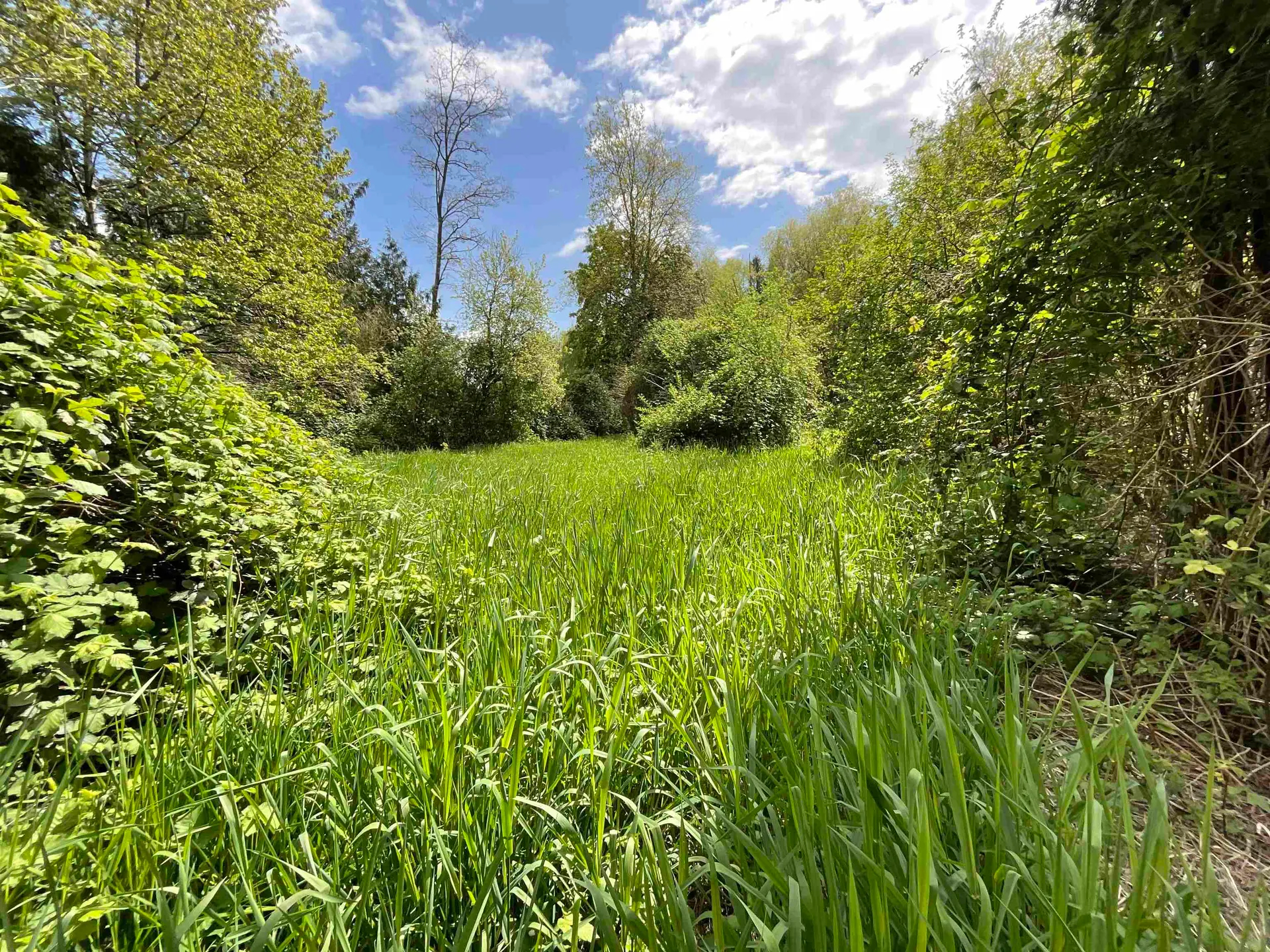 Property at 142 Kilby Road, Harrison Mills, BC