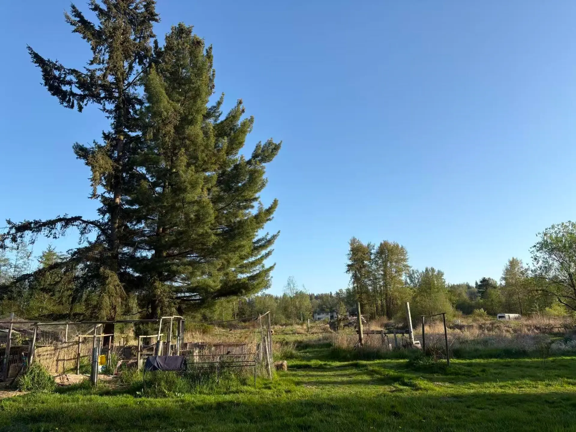 18106 32 Avenue - Image 3
