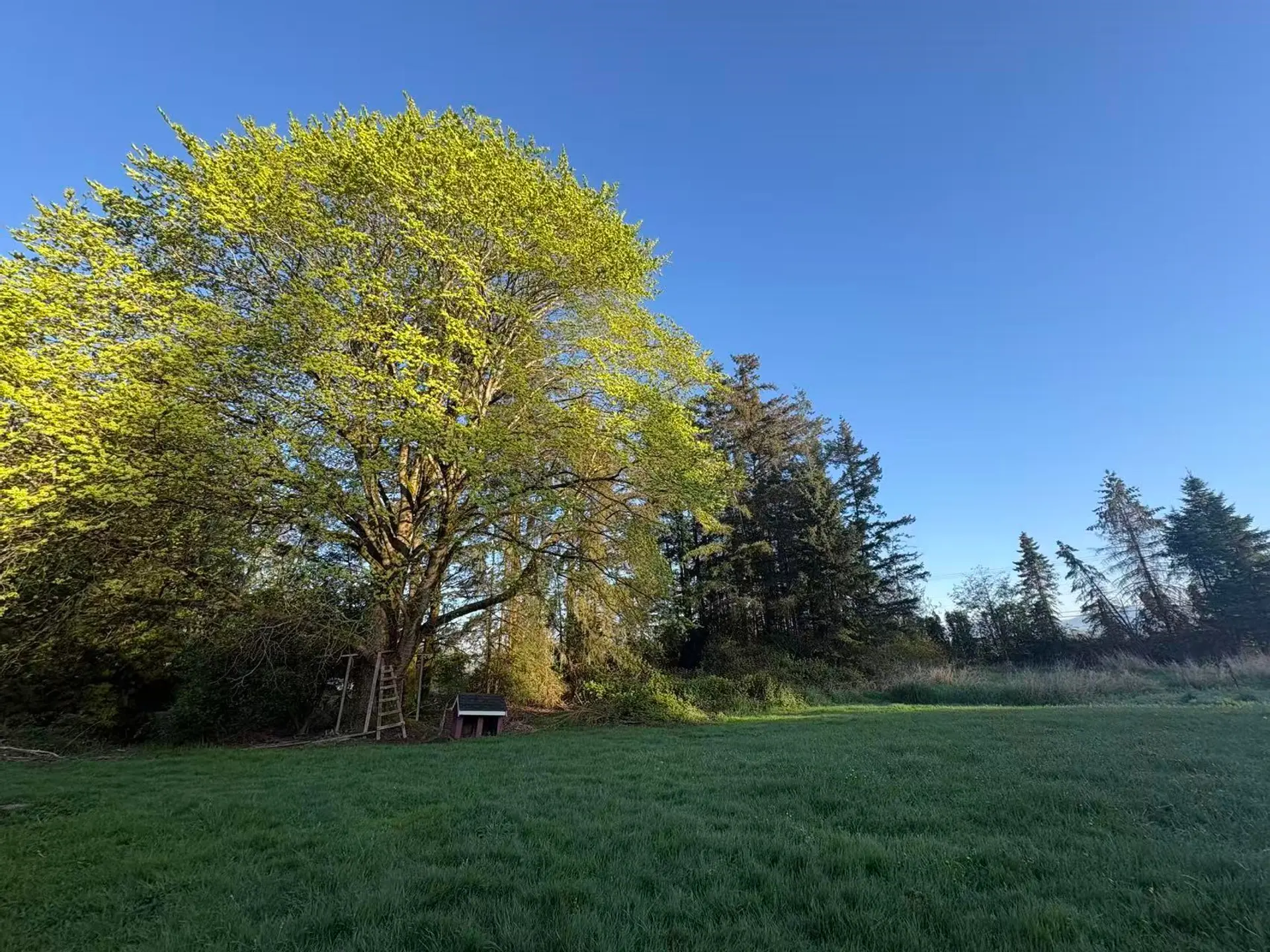 18106 32 Avenue - Image 1