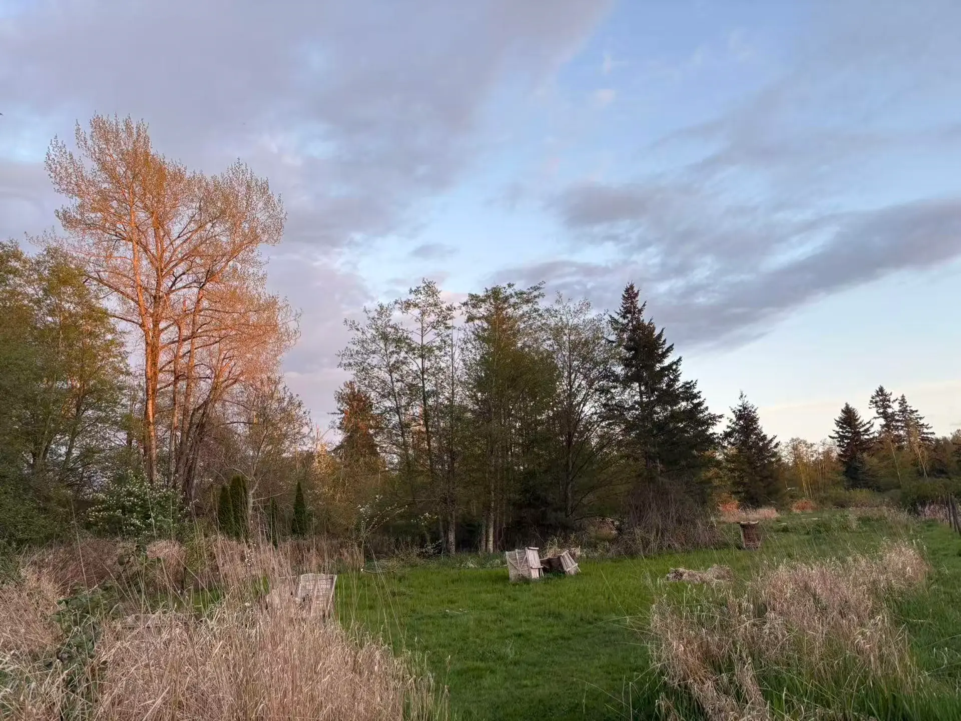 18106 32 Avenue - Image 4
