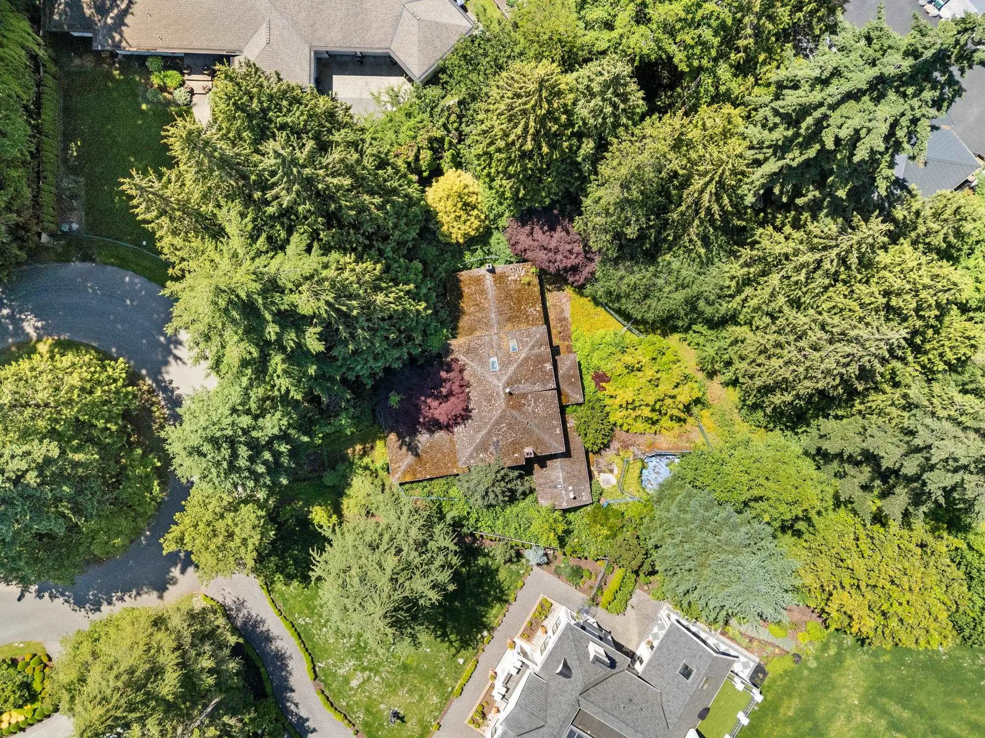 14069 26a Avenue - Image 9
