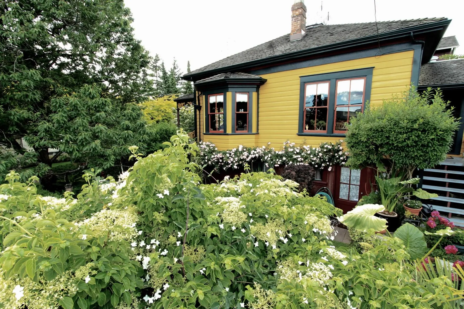 Property at 217 Ninth Street, New Westminster, BC