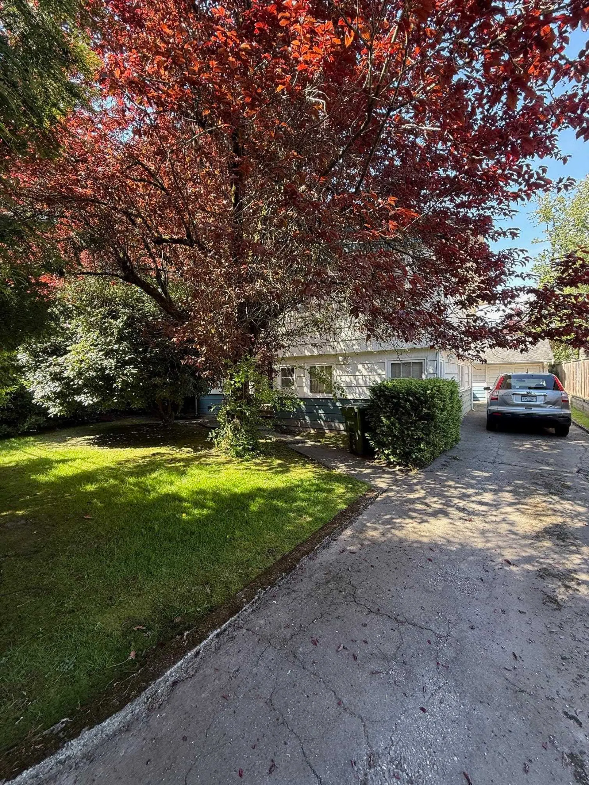 8251 Leslie Road - Image 2