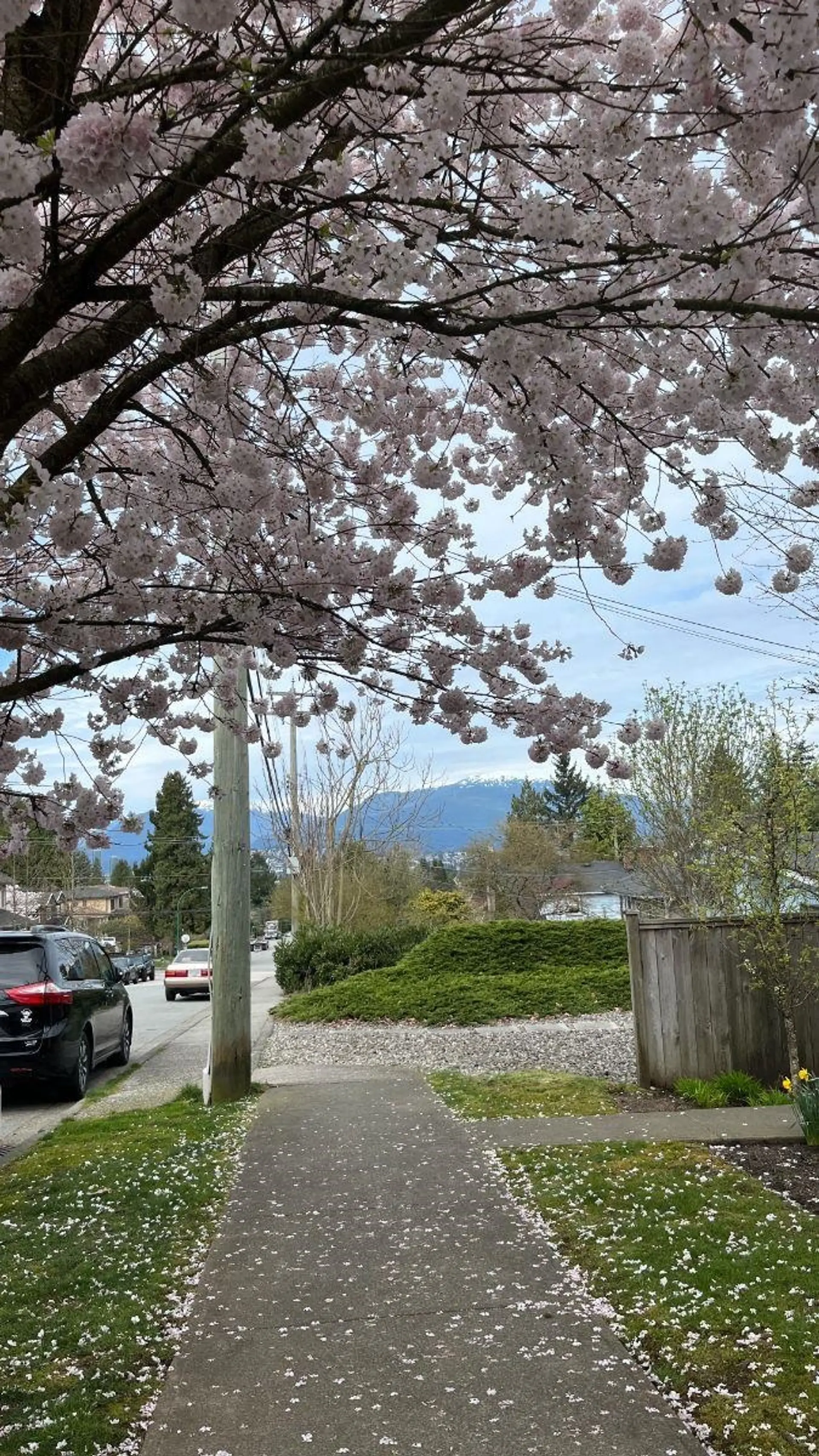 #105 6588 Elgin Avenue - Image 16