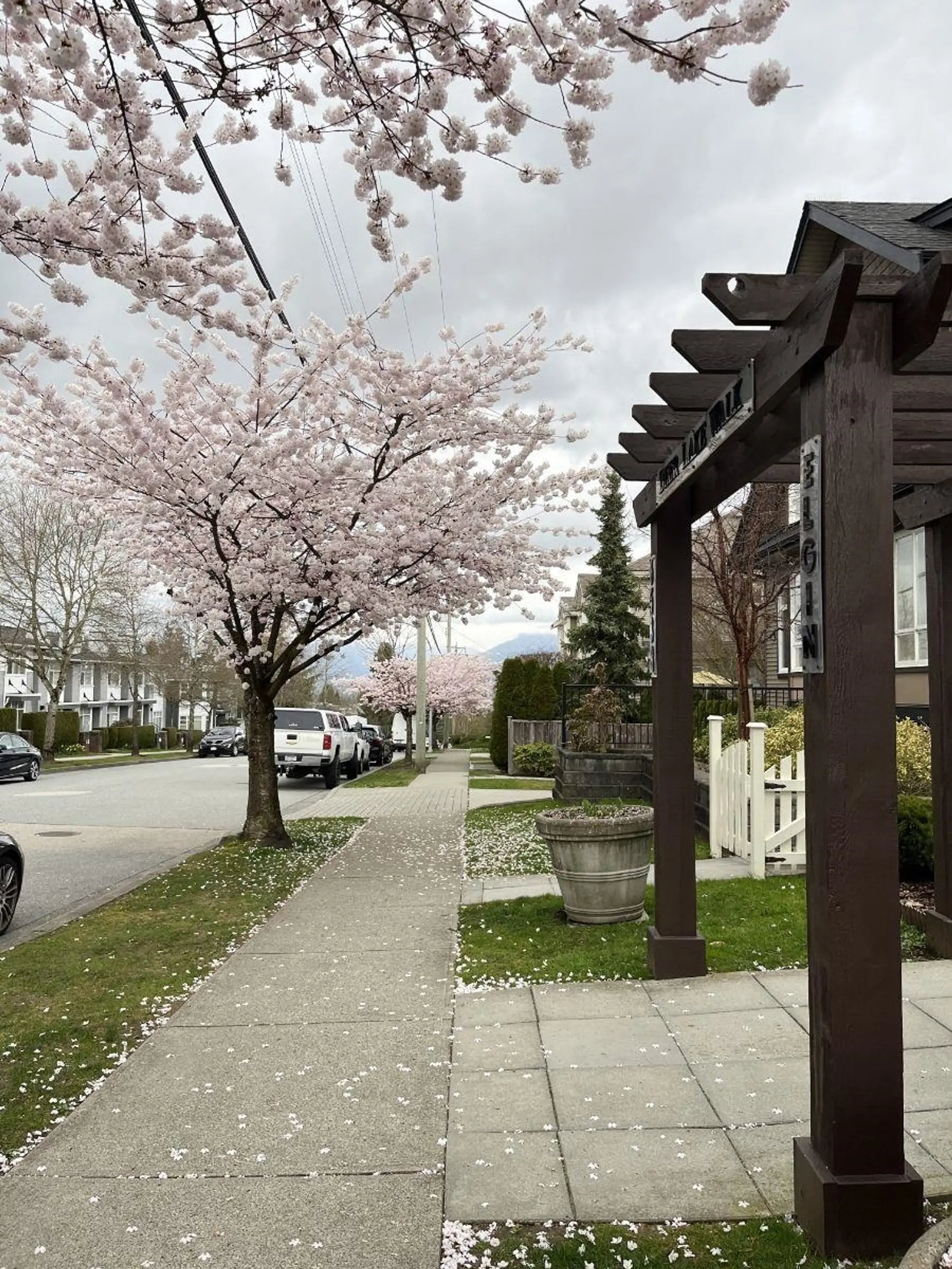 #105 6588 Elgin Avenue - Image 18