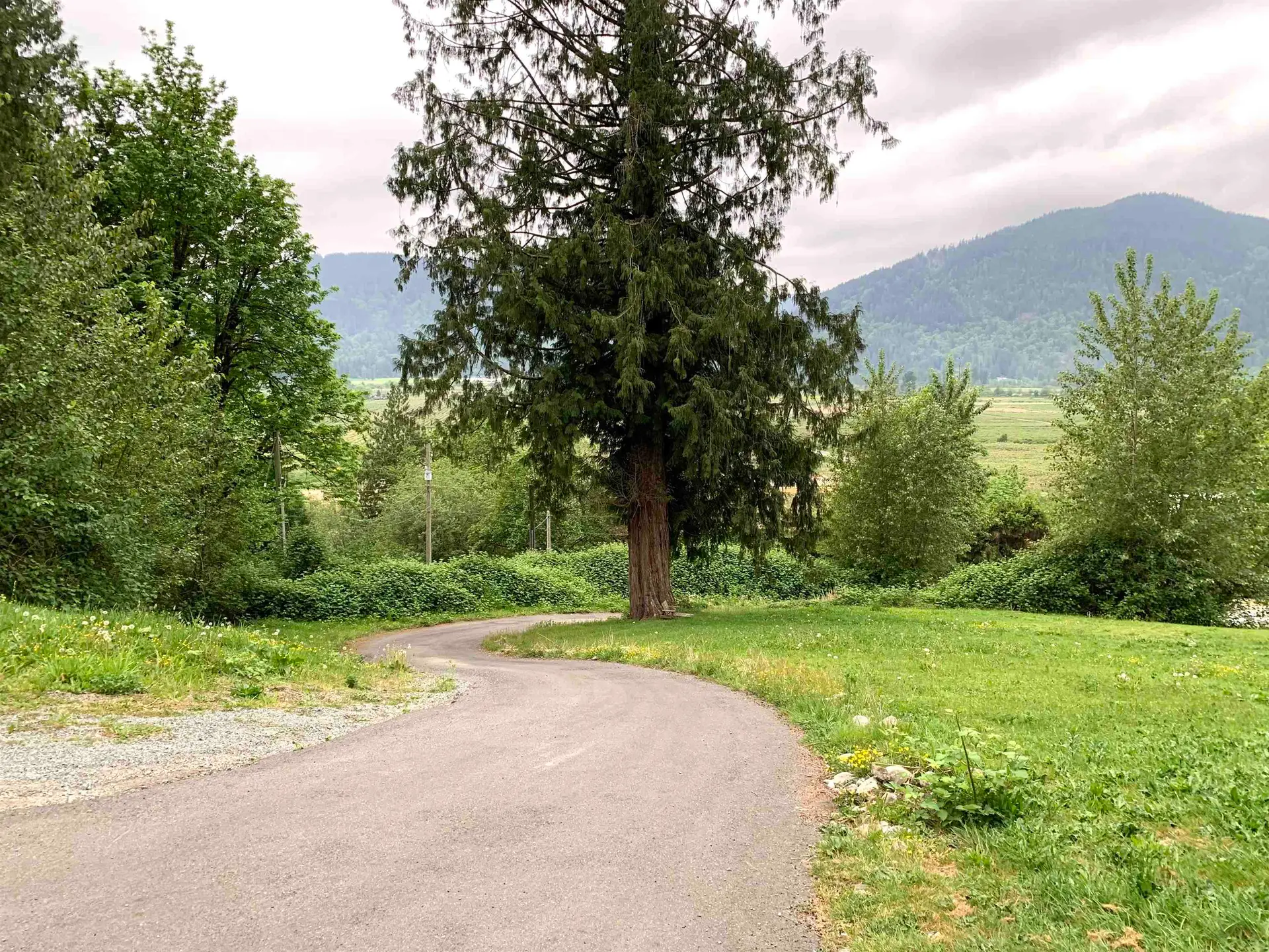 10710 Sylvester Road - Image 18