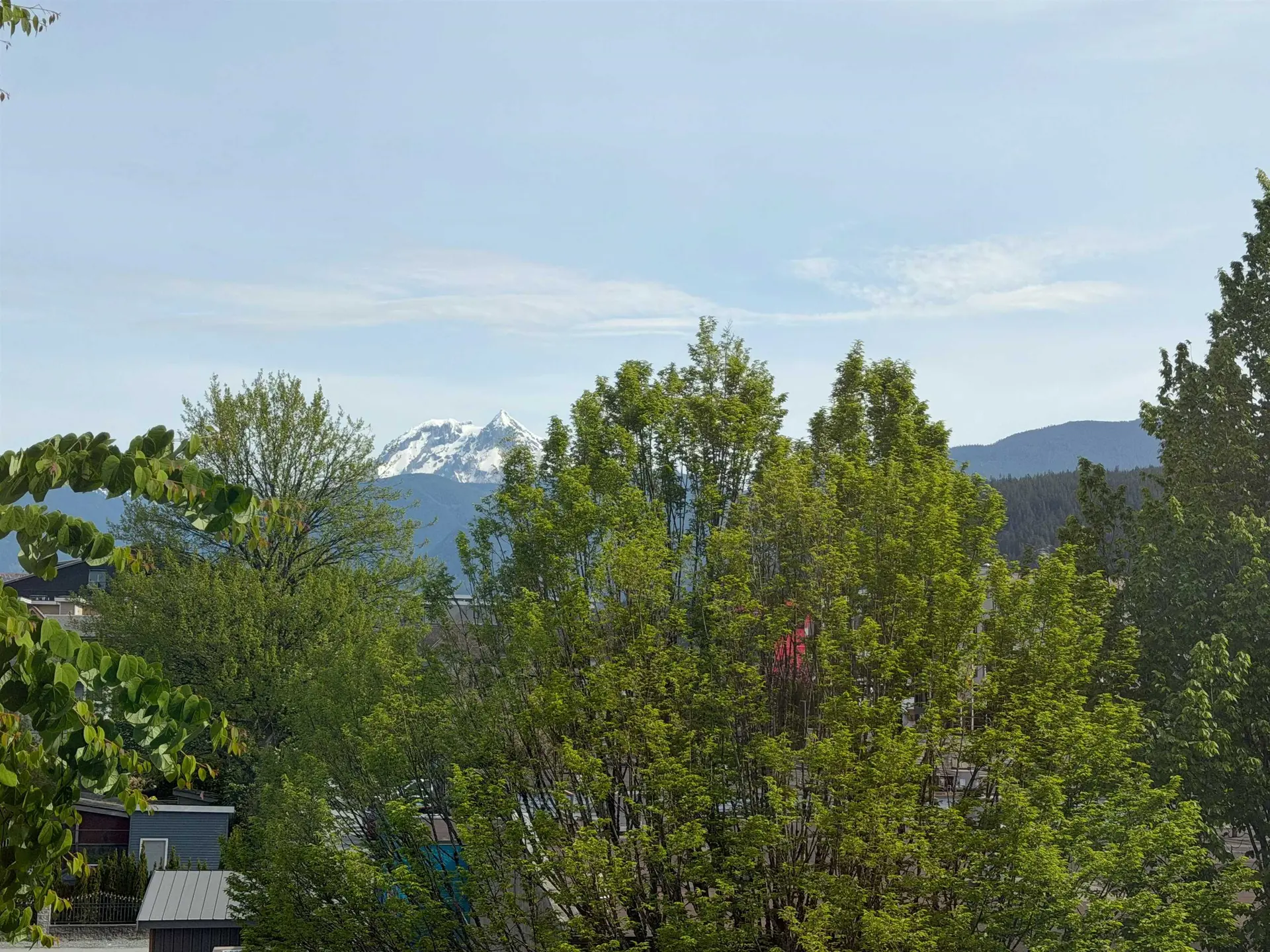 #319 1336 Main Street - Image 8