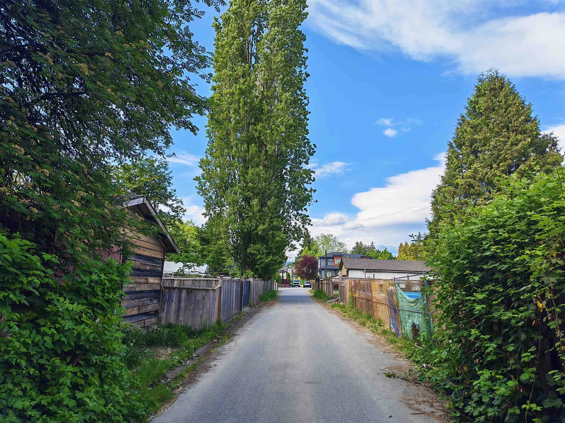 10156 143a Street - Image 3
