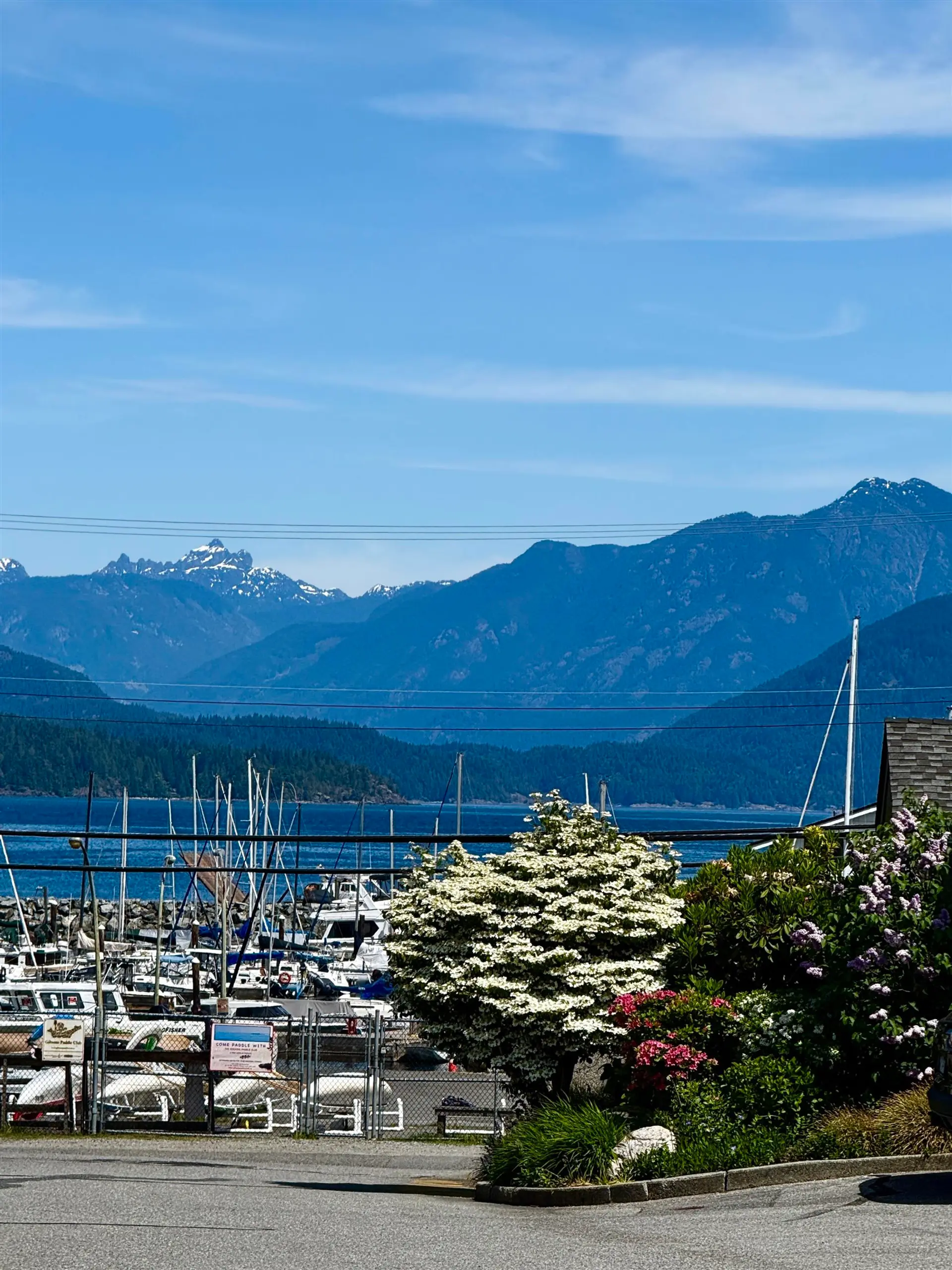 #3 699 Dougall Road - Image 4