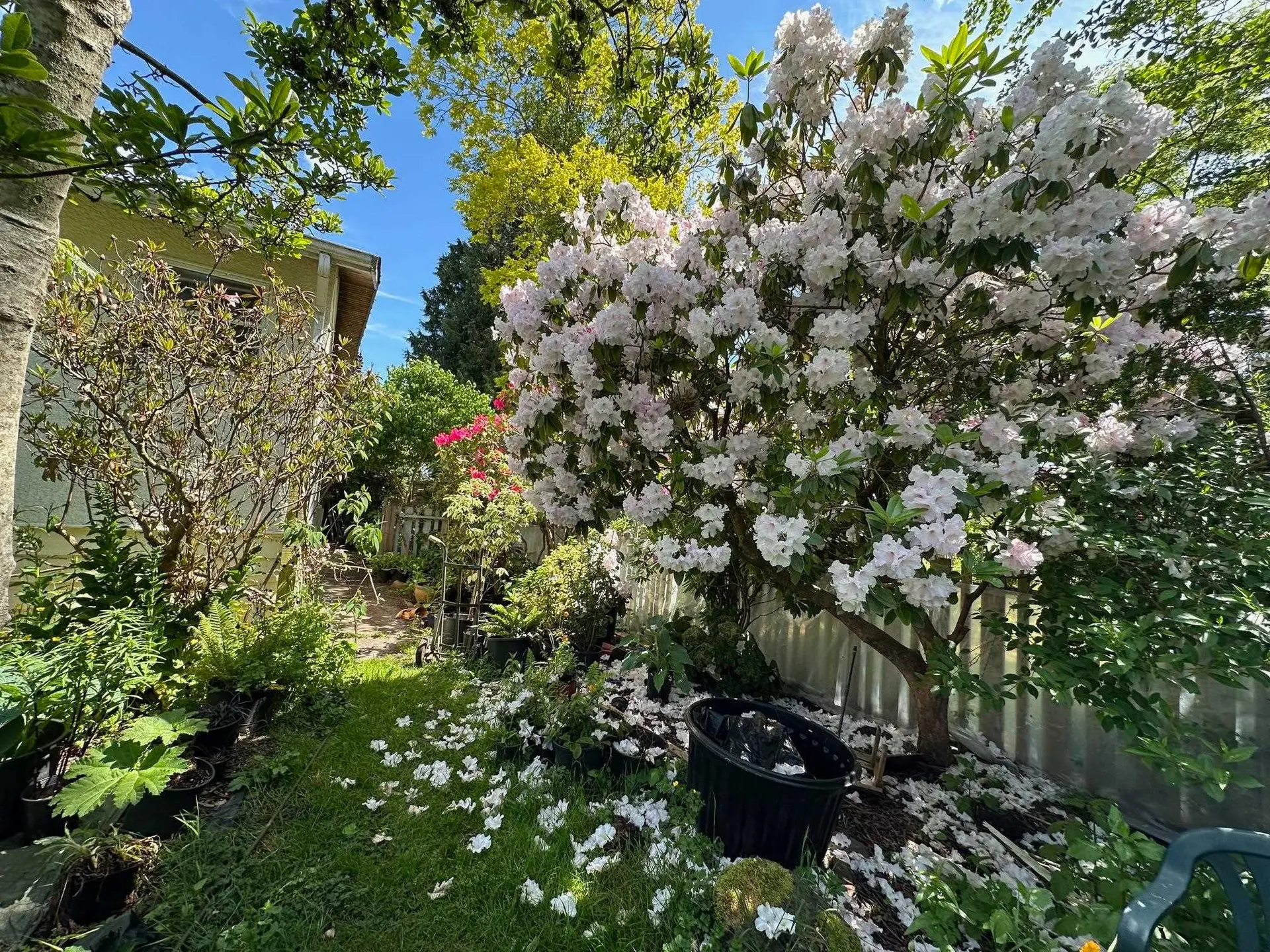 5278 Belair Drive - Image 3