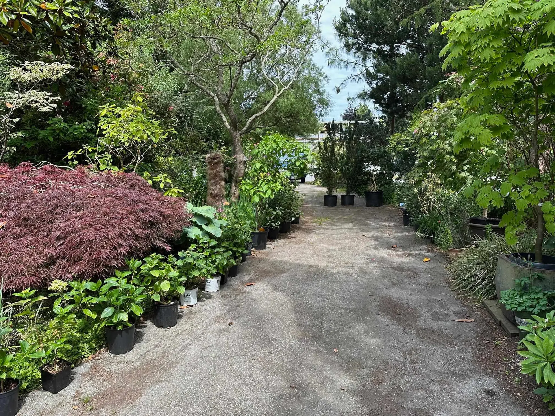 5278 Belair Drive - Image 8