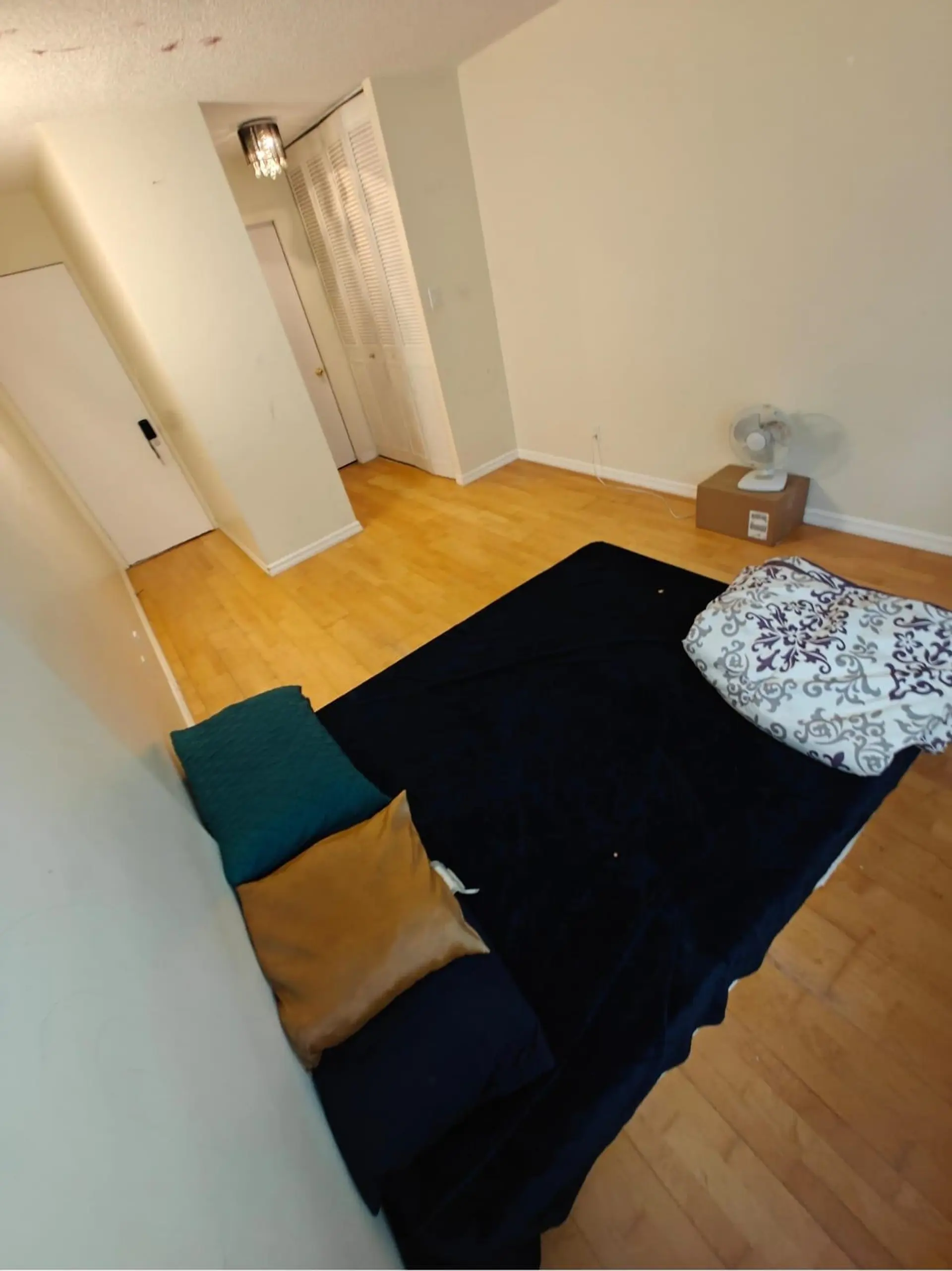#307 5645 Barker Avenue - Image 7