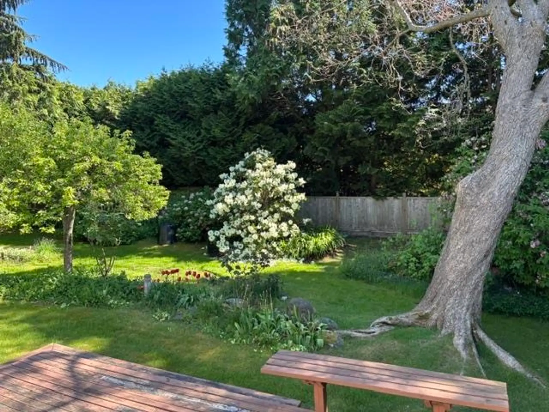 4936 4 Avenue - Image 6