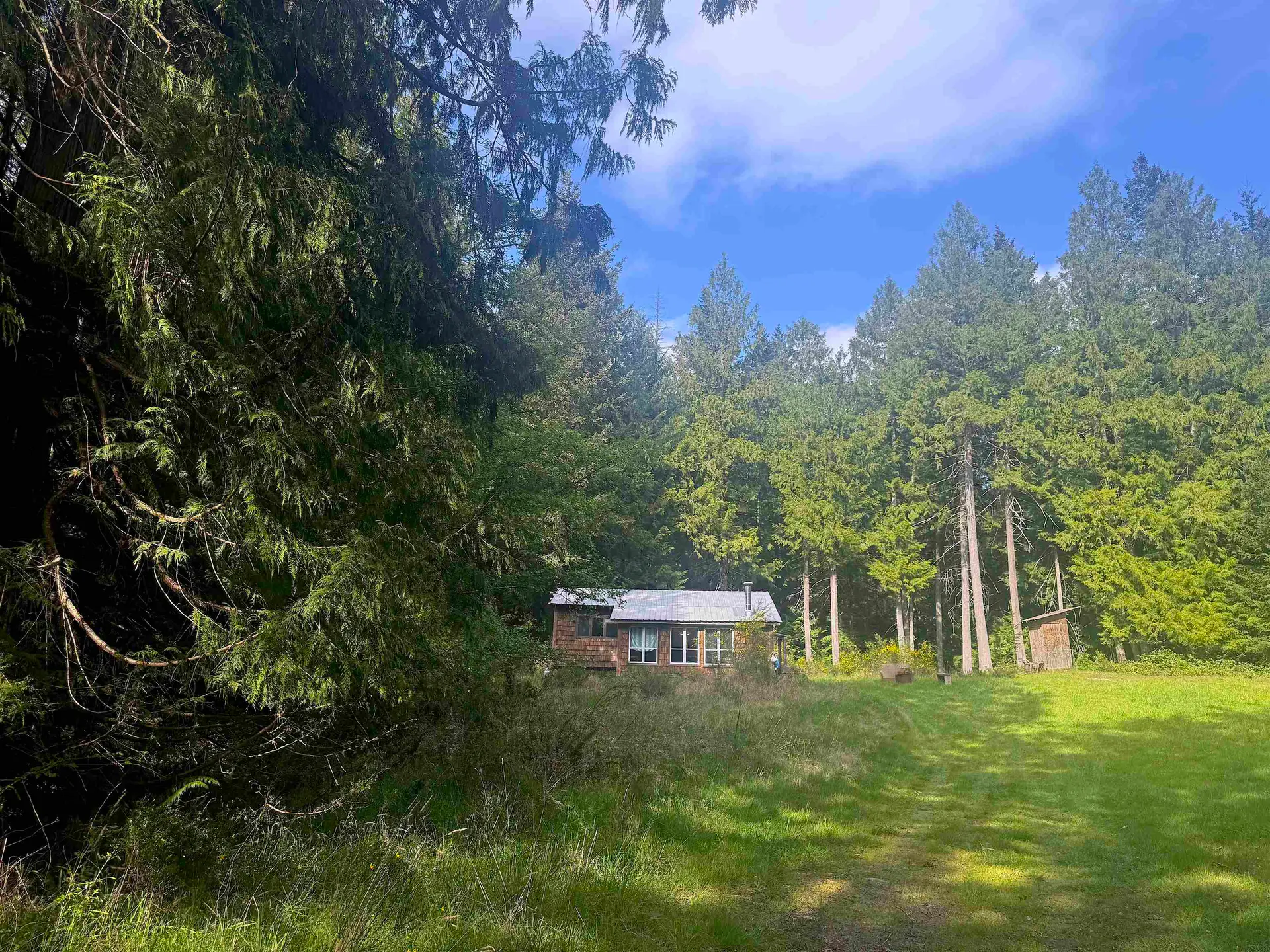 1114 Bluff Road - Image 12