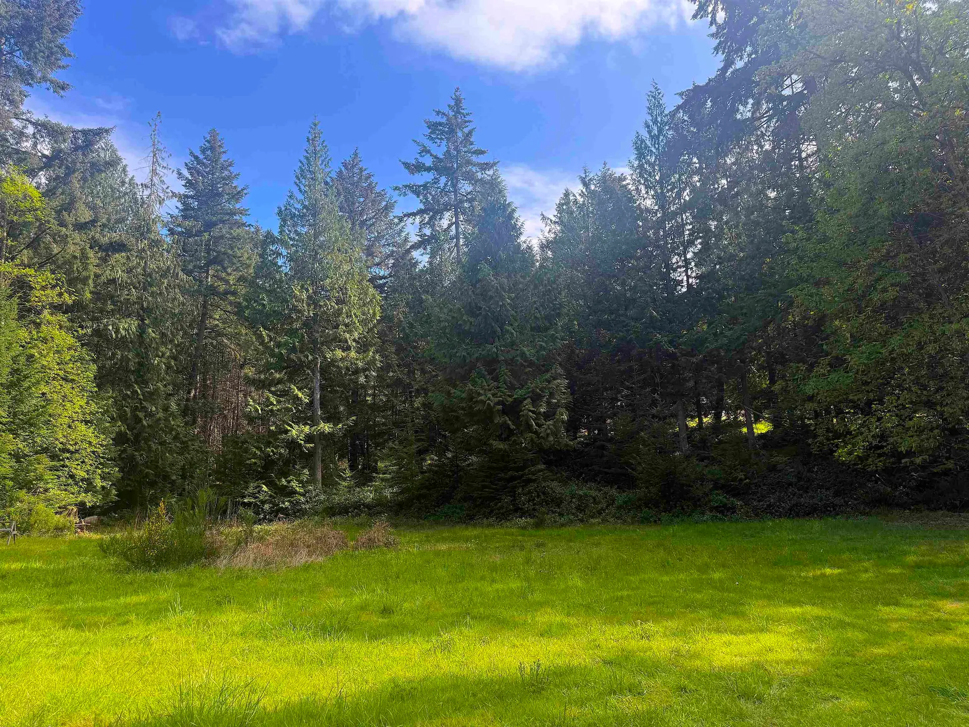 1114 Bluff Road - Image 17