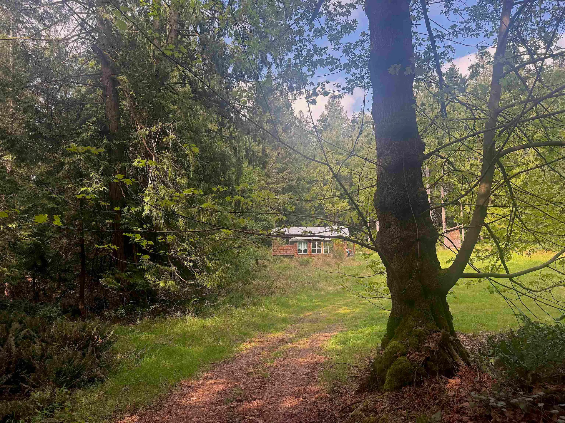 1114 Bluff Road - Image 11
