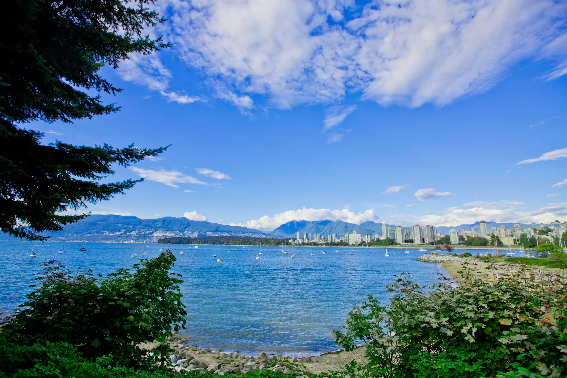 #305 2430 Point Grey Road - Image 18