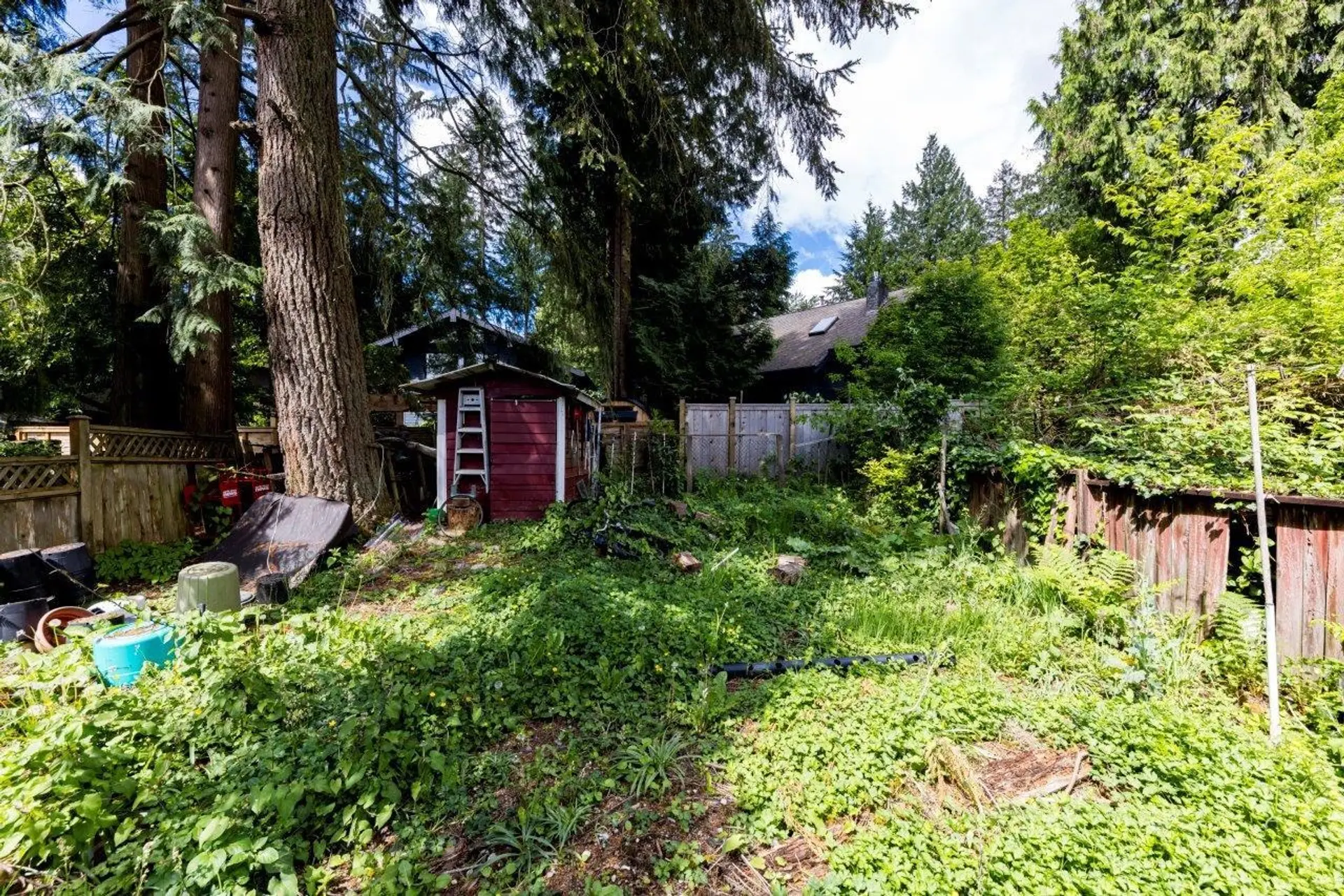 3297 Fromme Road - Image 5