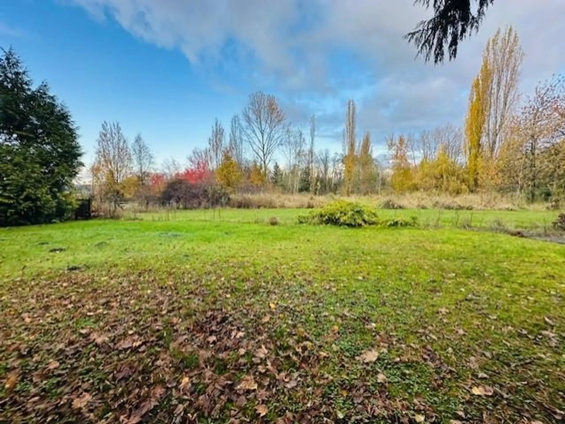 18351 74 Avenue - Image 4