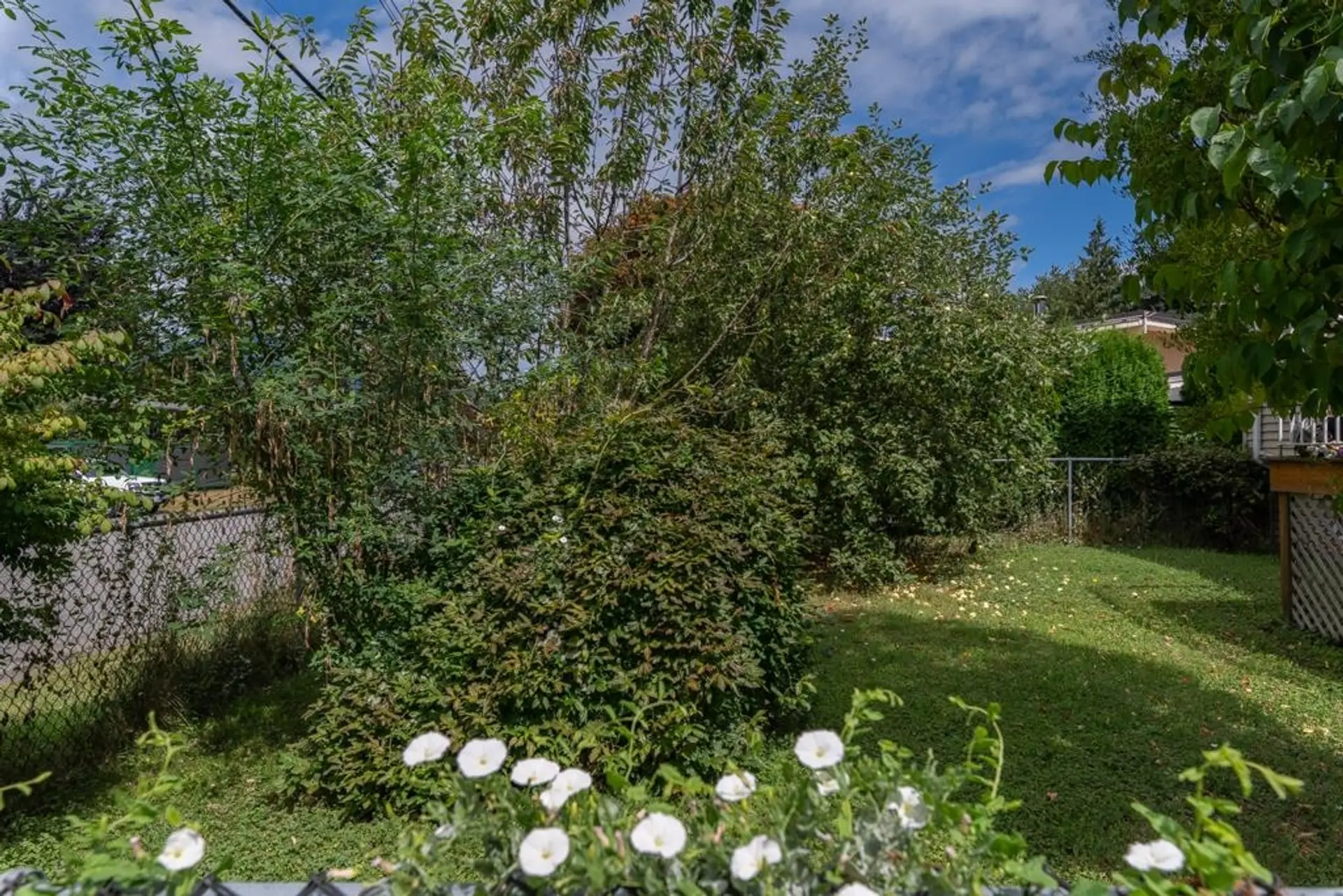 10144 Wedgewood Drive - Image 2