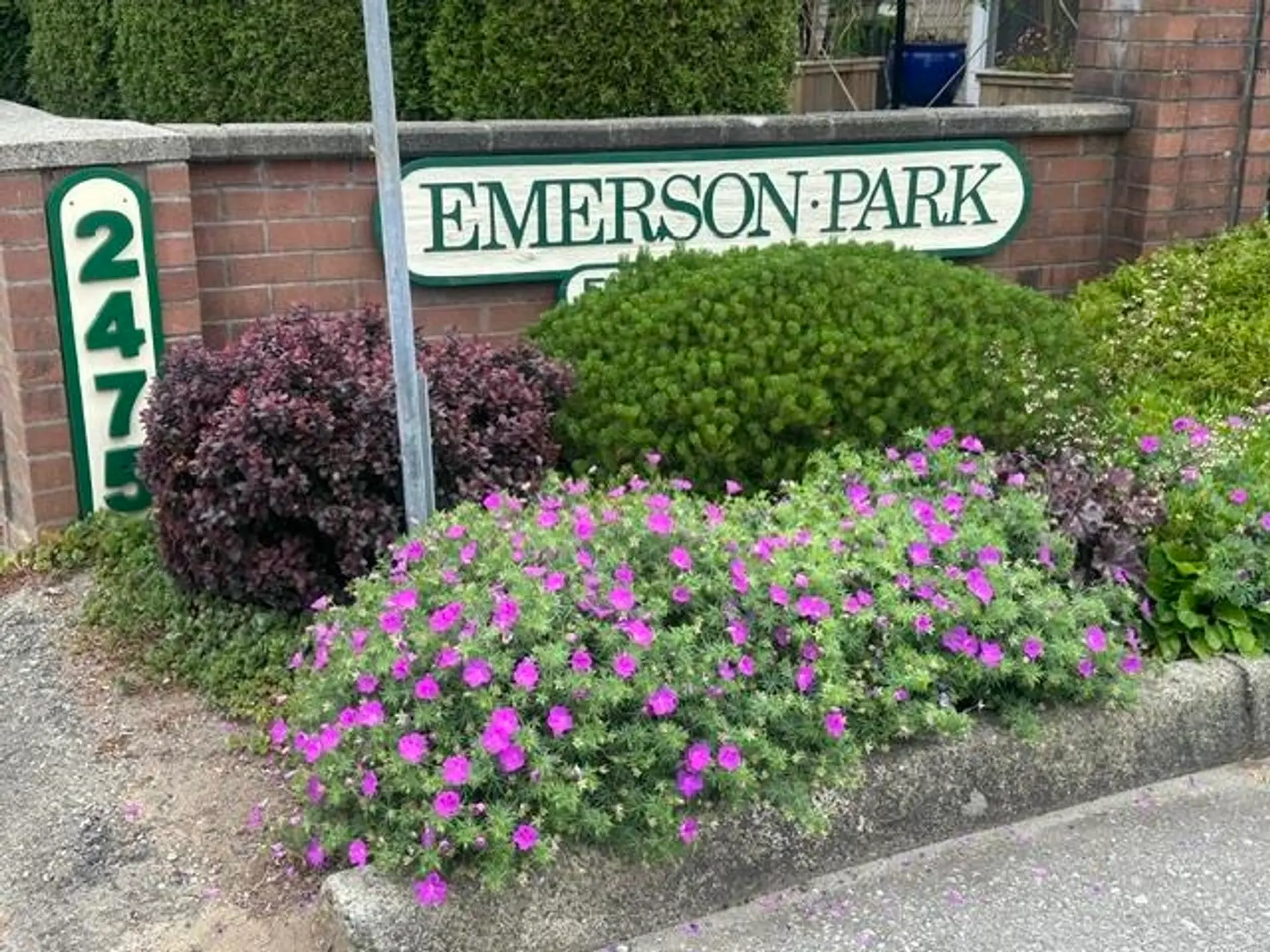 #12 2475 Emerson Street - Image 3