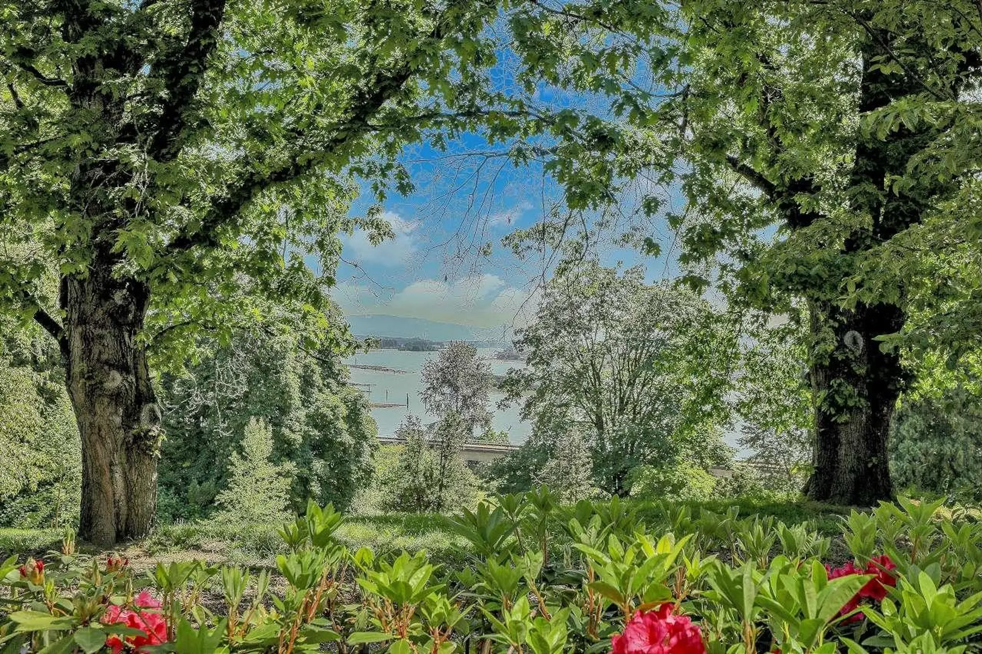 #123 22 East Royal Avenue - Image 1