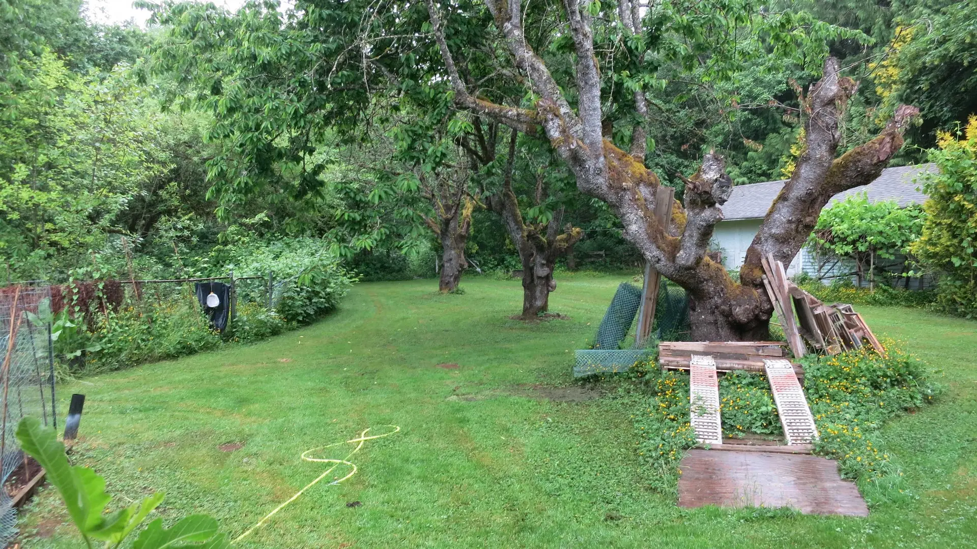 11709 248 Street - Image 6