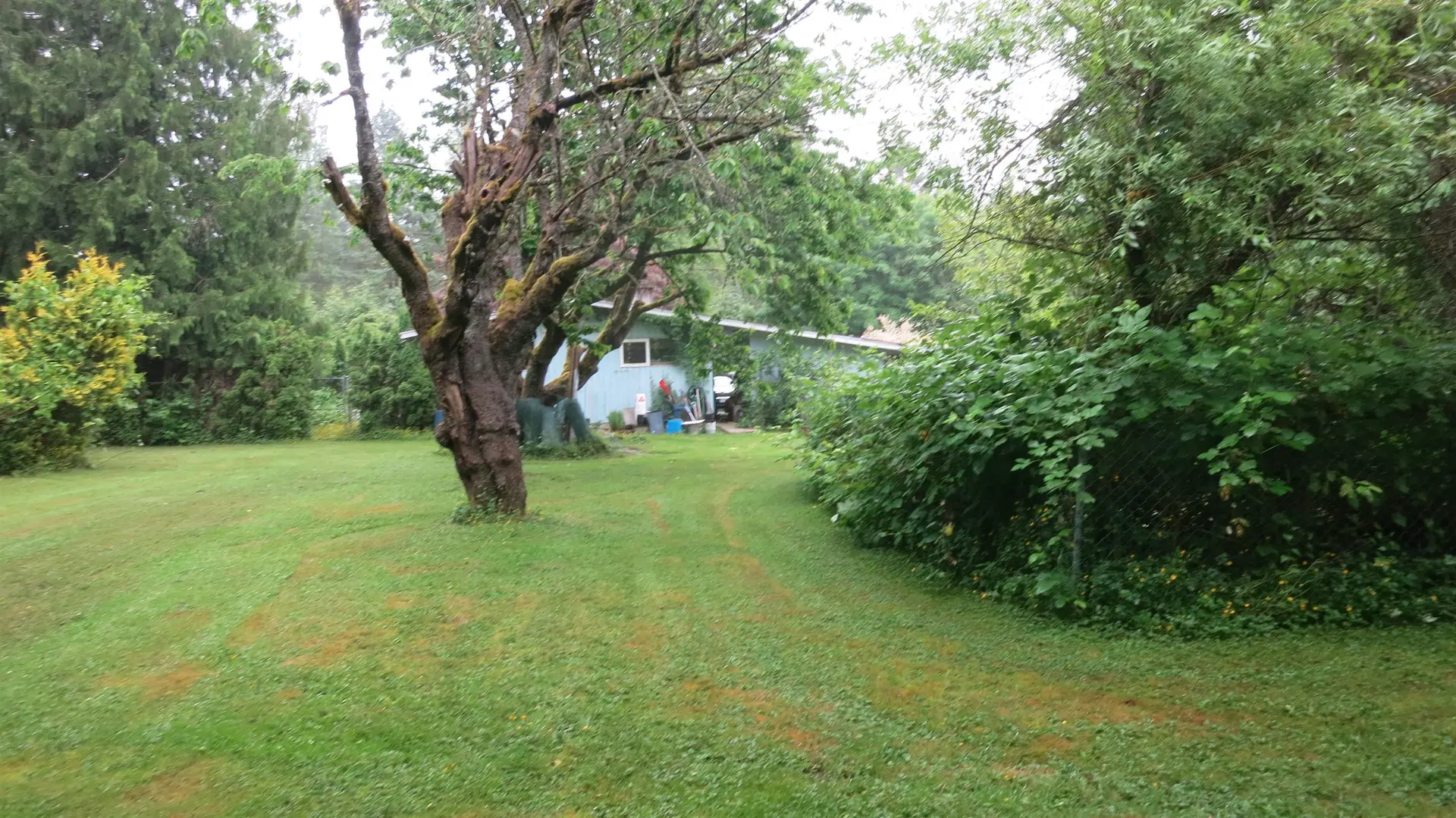 11709 248 Street - Image 10