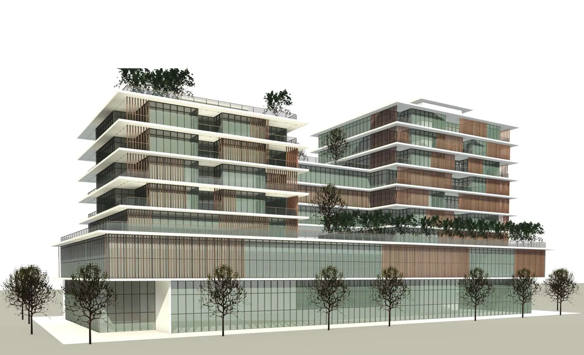 5412 Cambie Street - Image 2