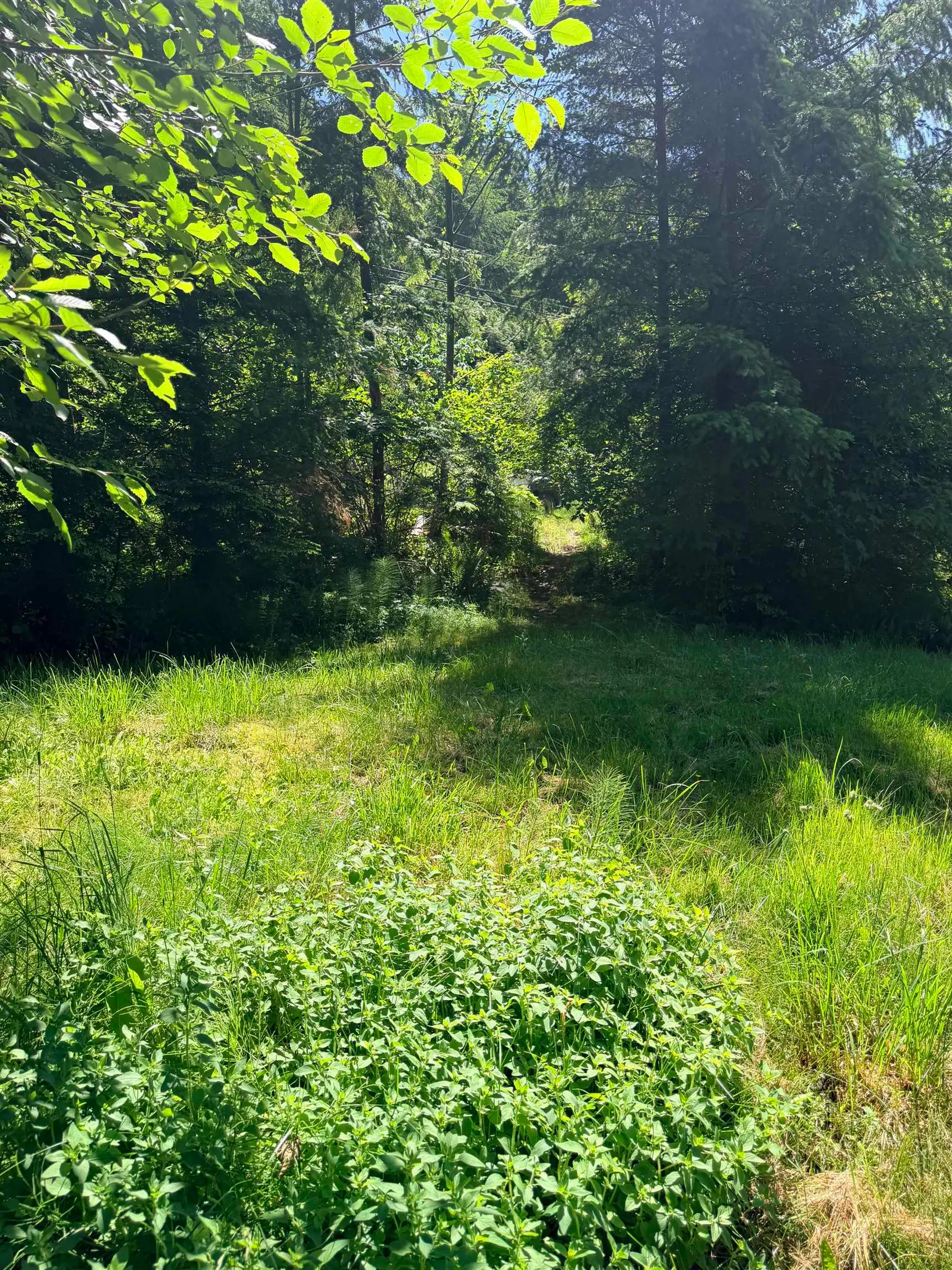 1260 Adams Road - Image 13