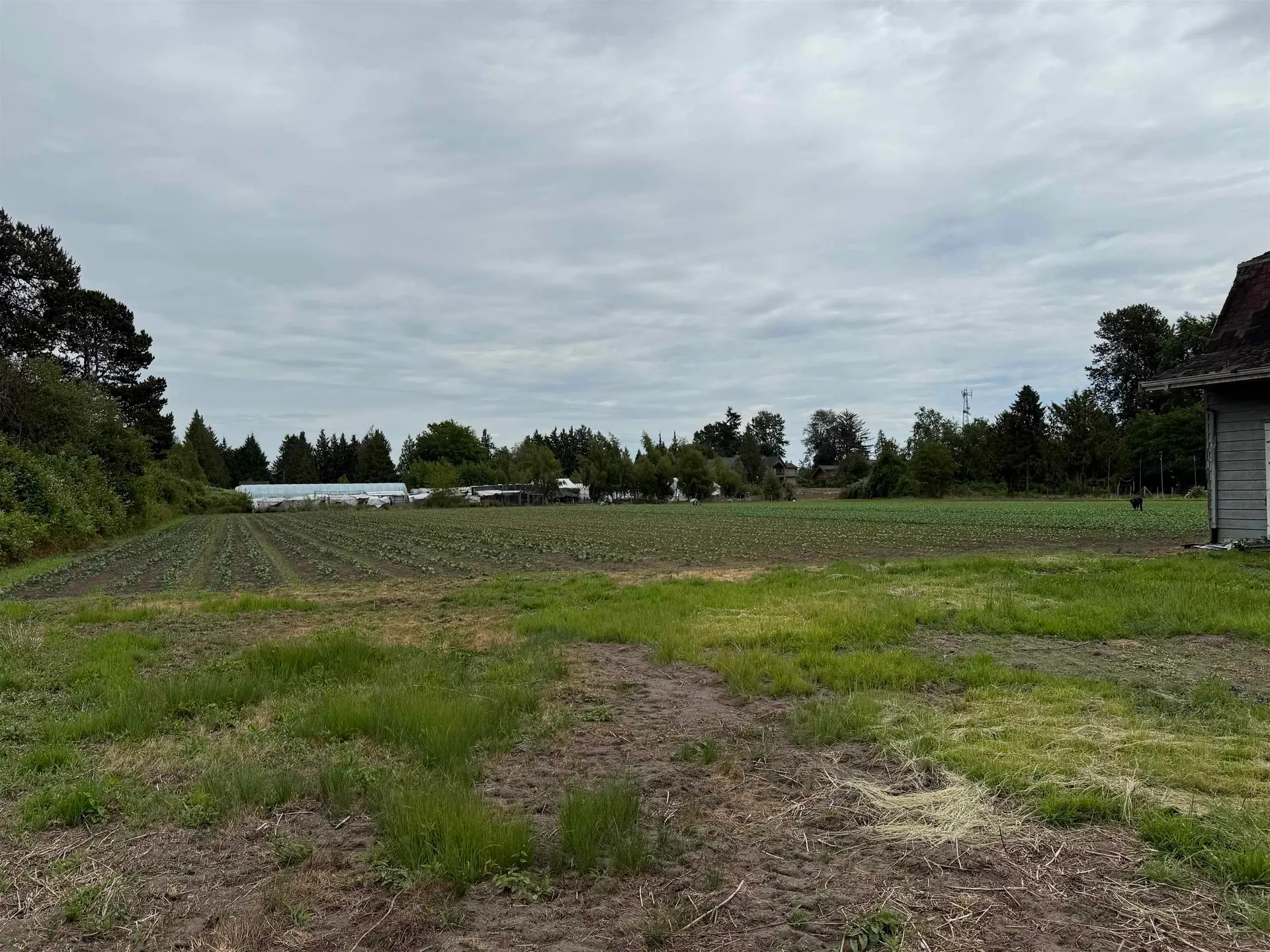 10120 Sidaway Road - Image 5