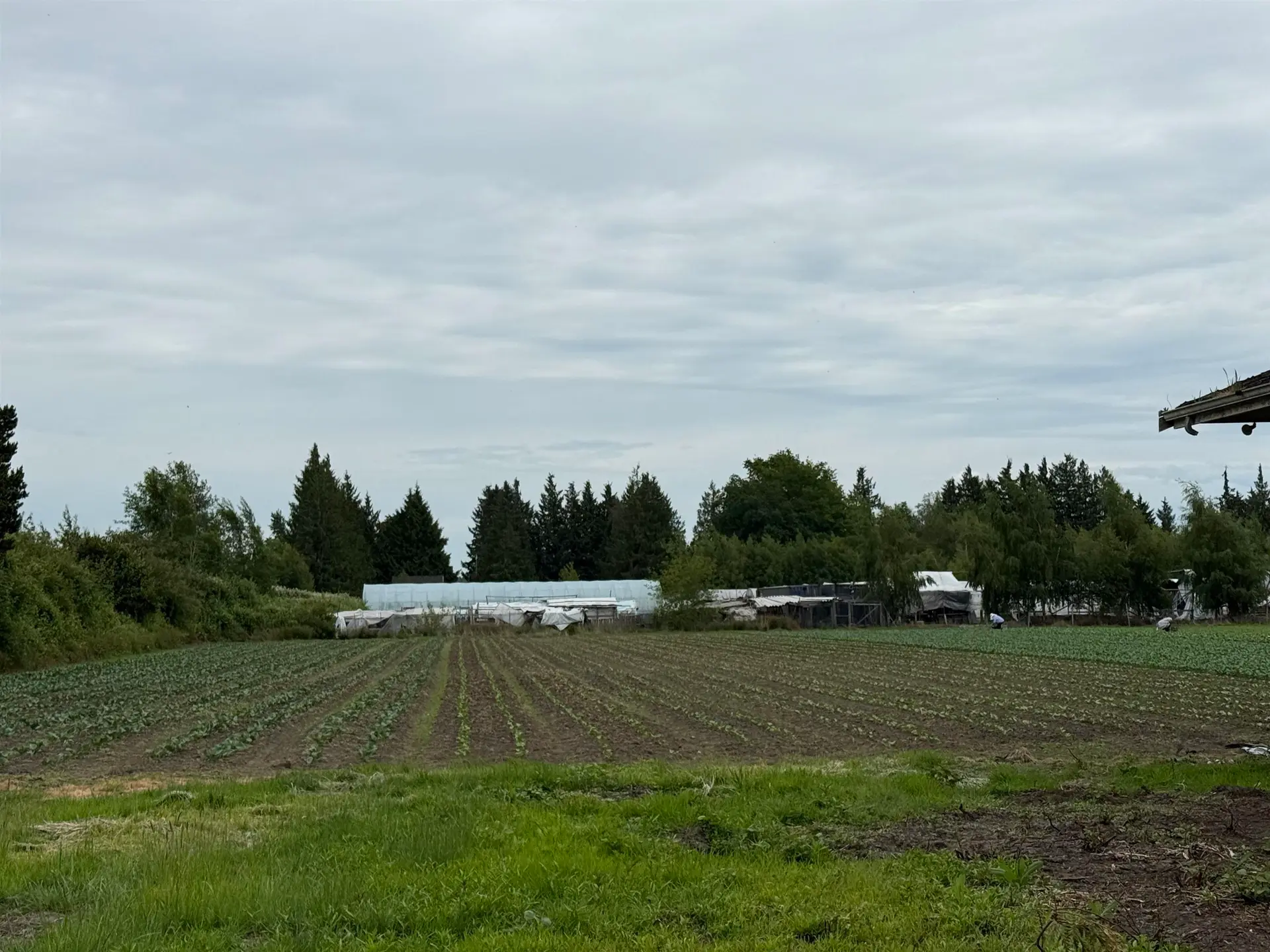 10120 Sidaway Road - Image 4