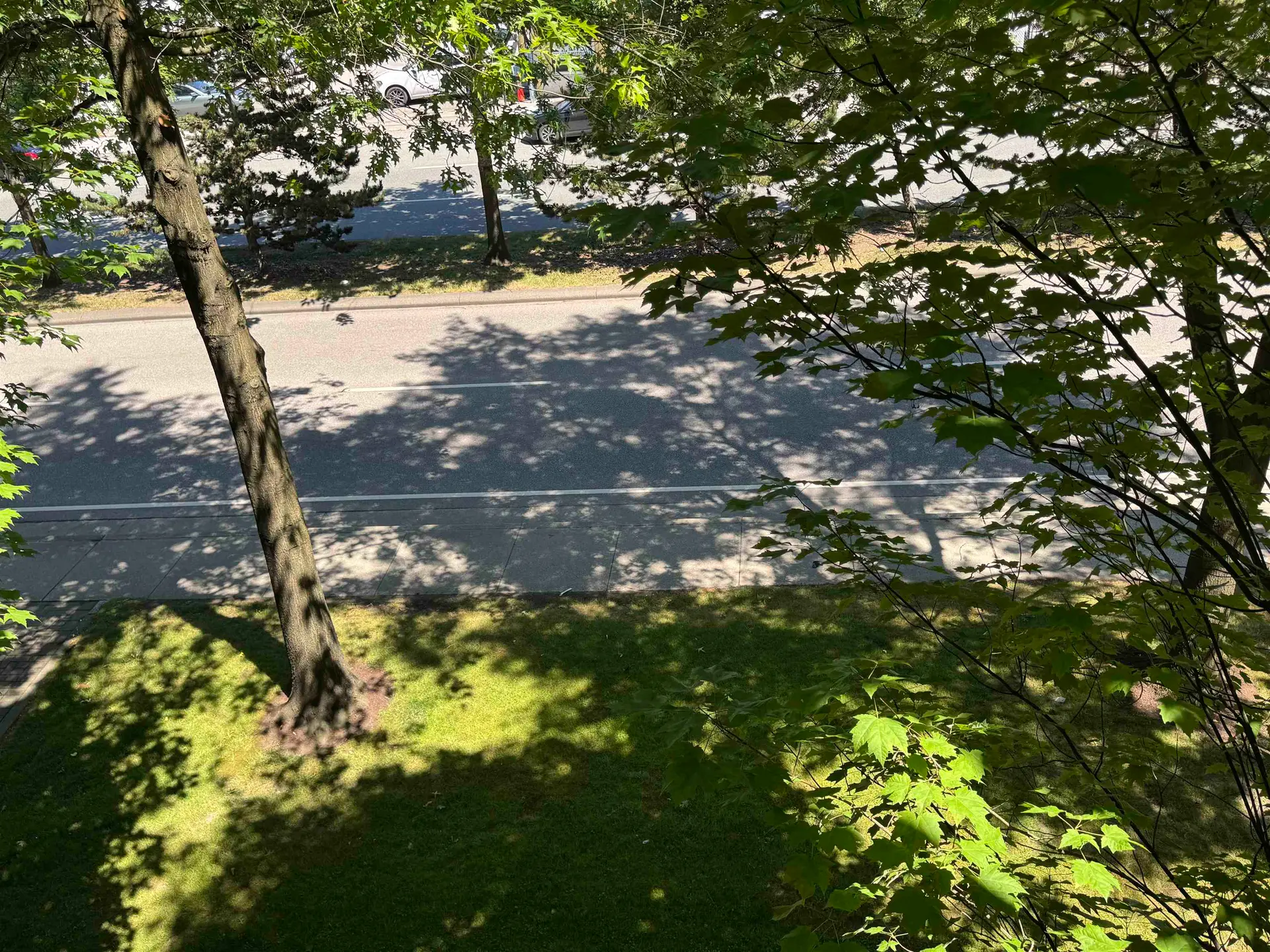 #328 10838 City Parkway - Image 4