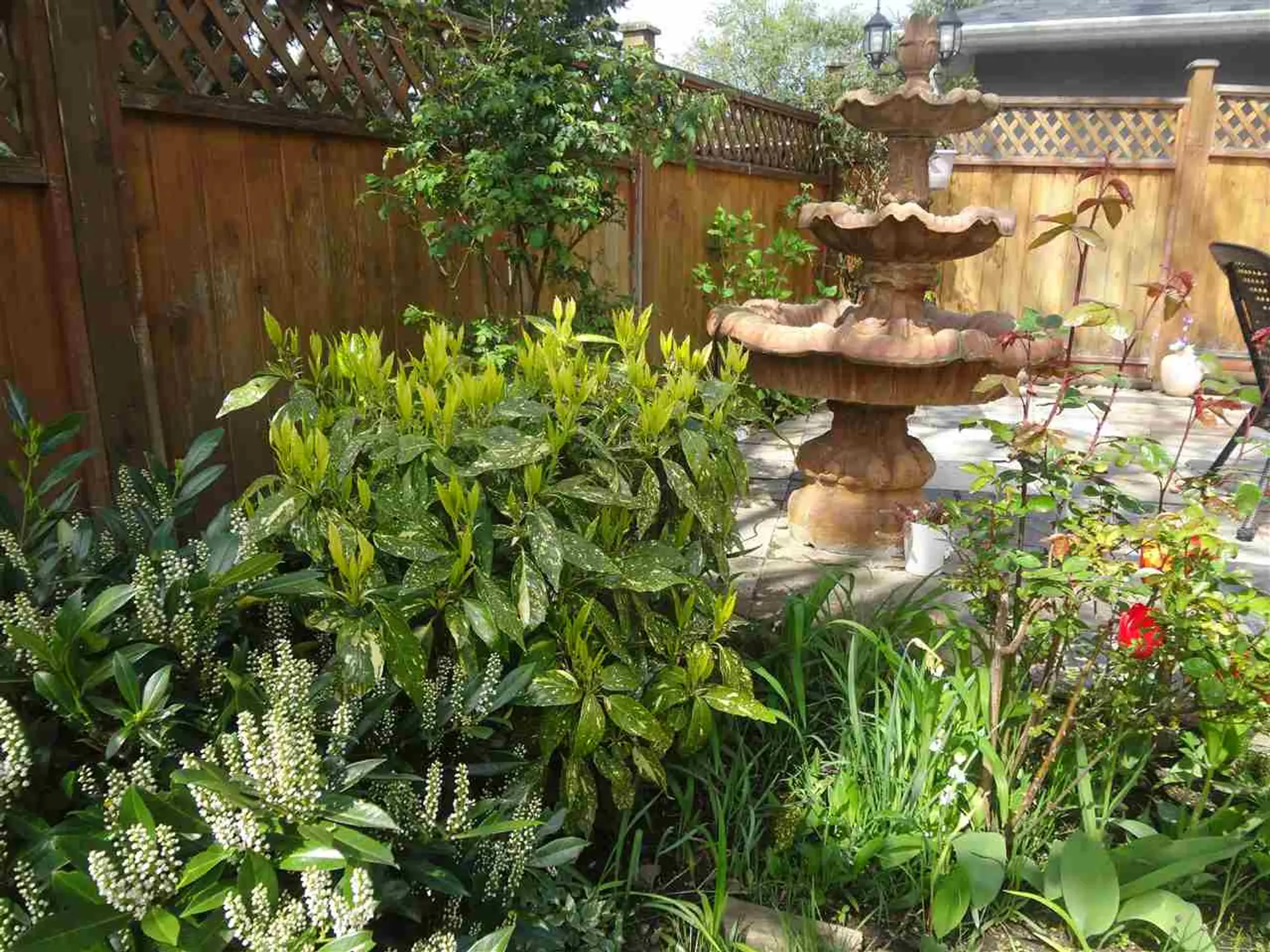 7280 15th Avenue - Image 4