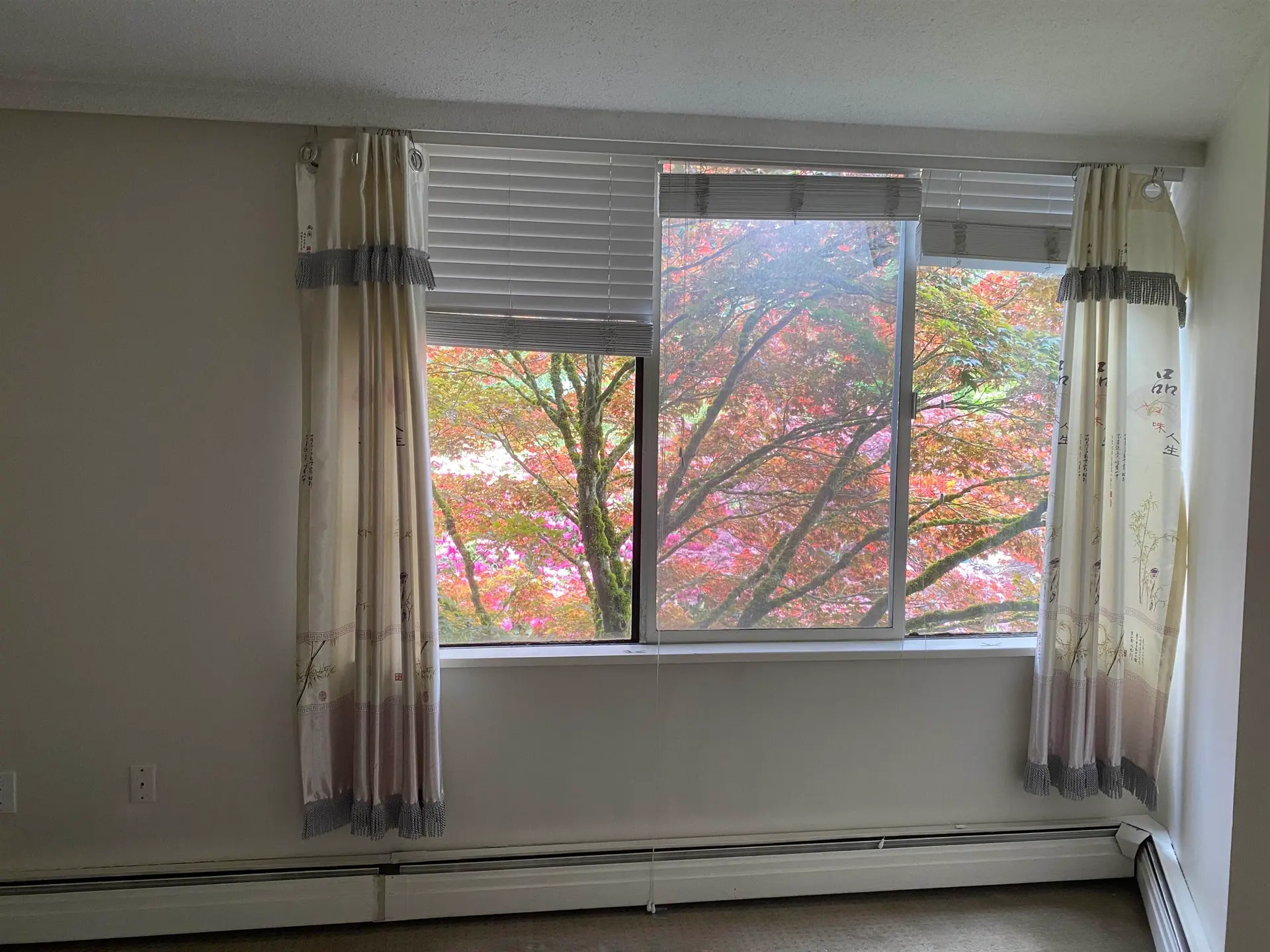 #202 4691 W 10th Avenue - Image 6