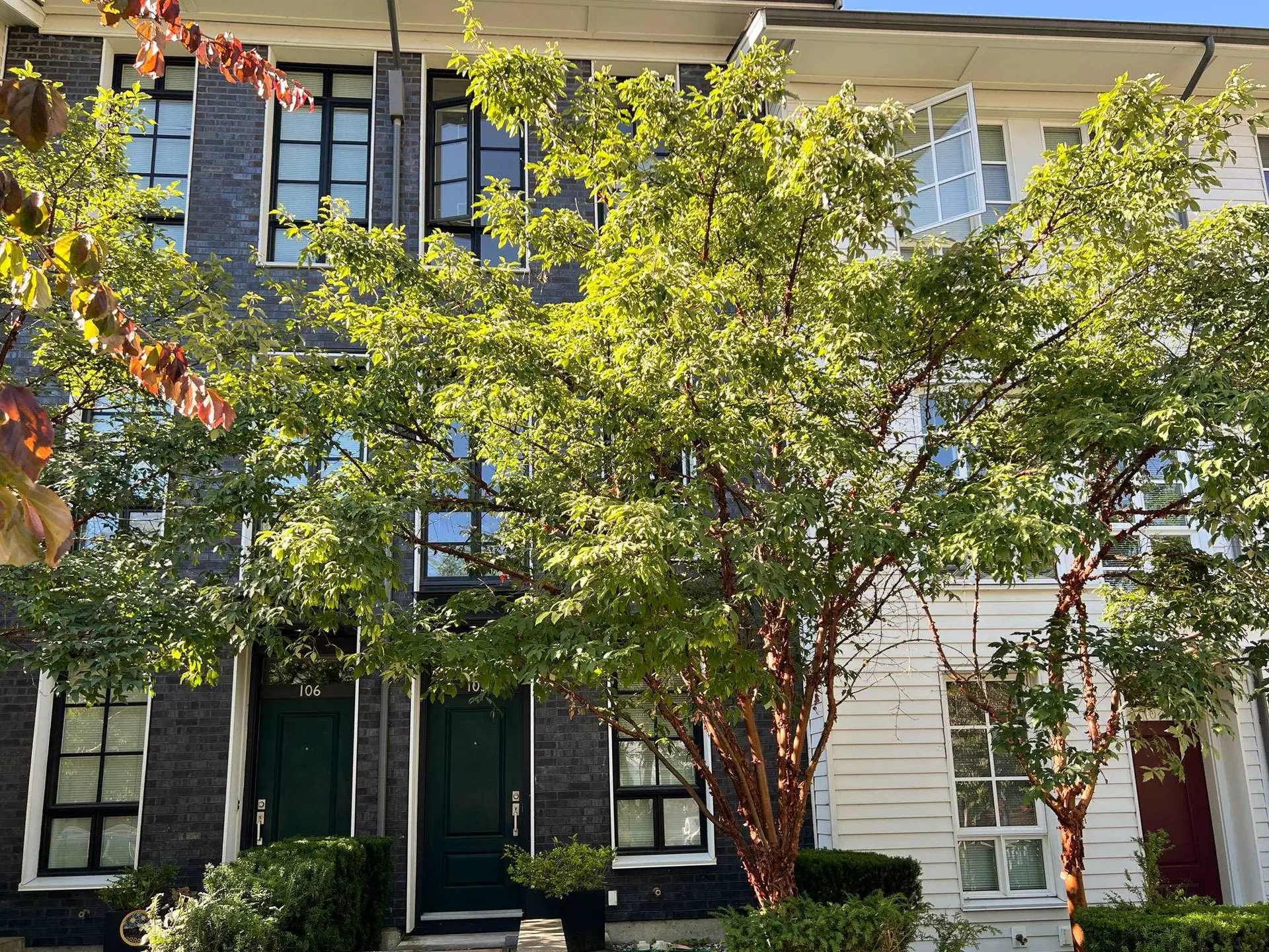 Property at #105 548 Foster Avenue, Coquitlam, BC