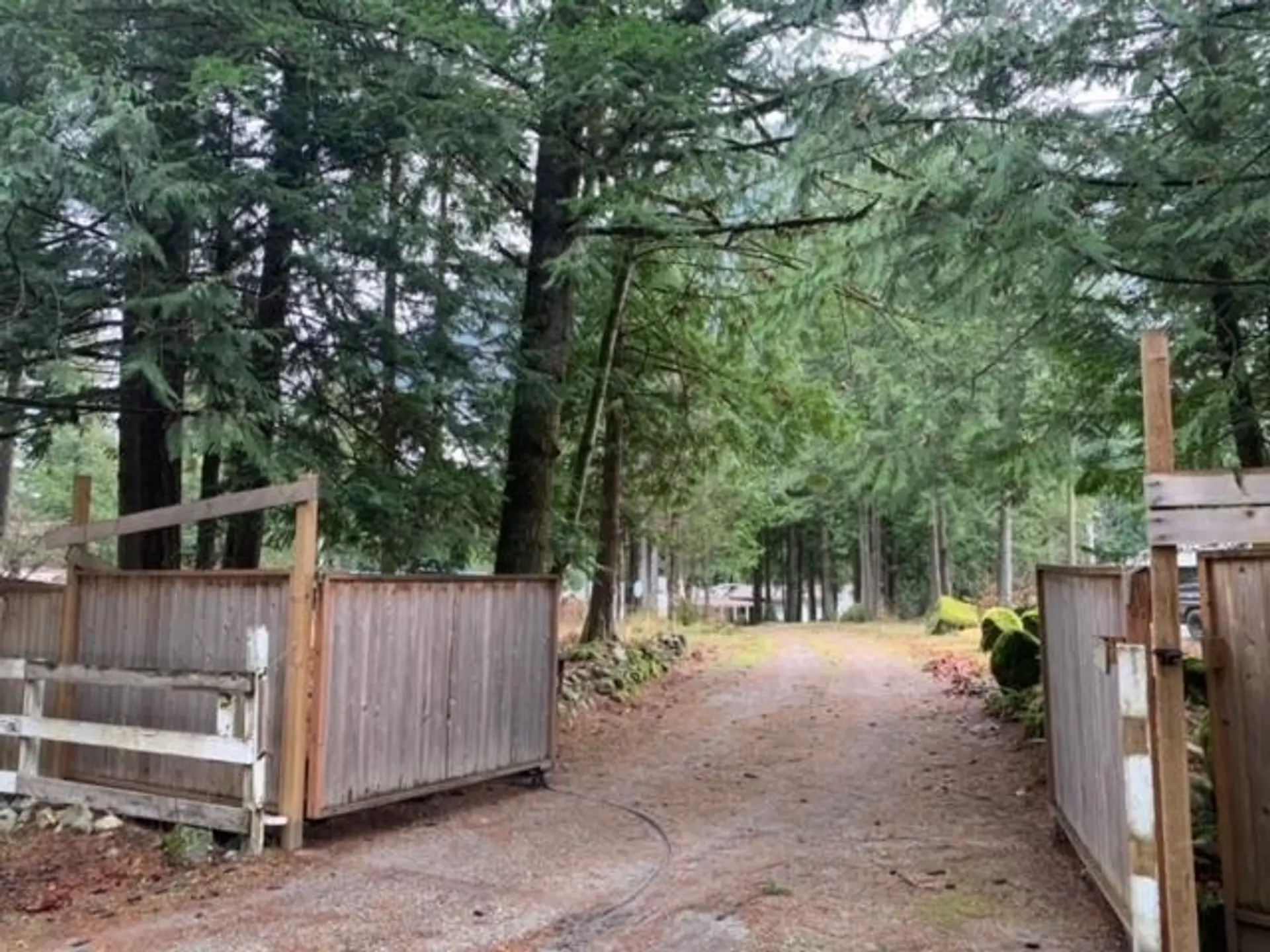 19552 Silver Skagit Road - Image 3