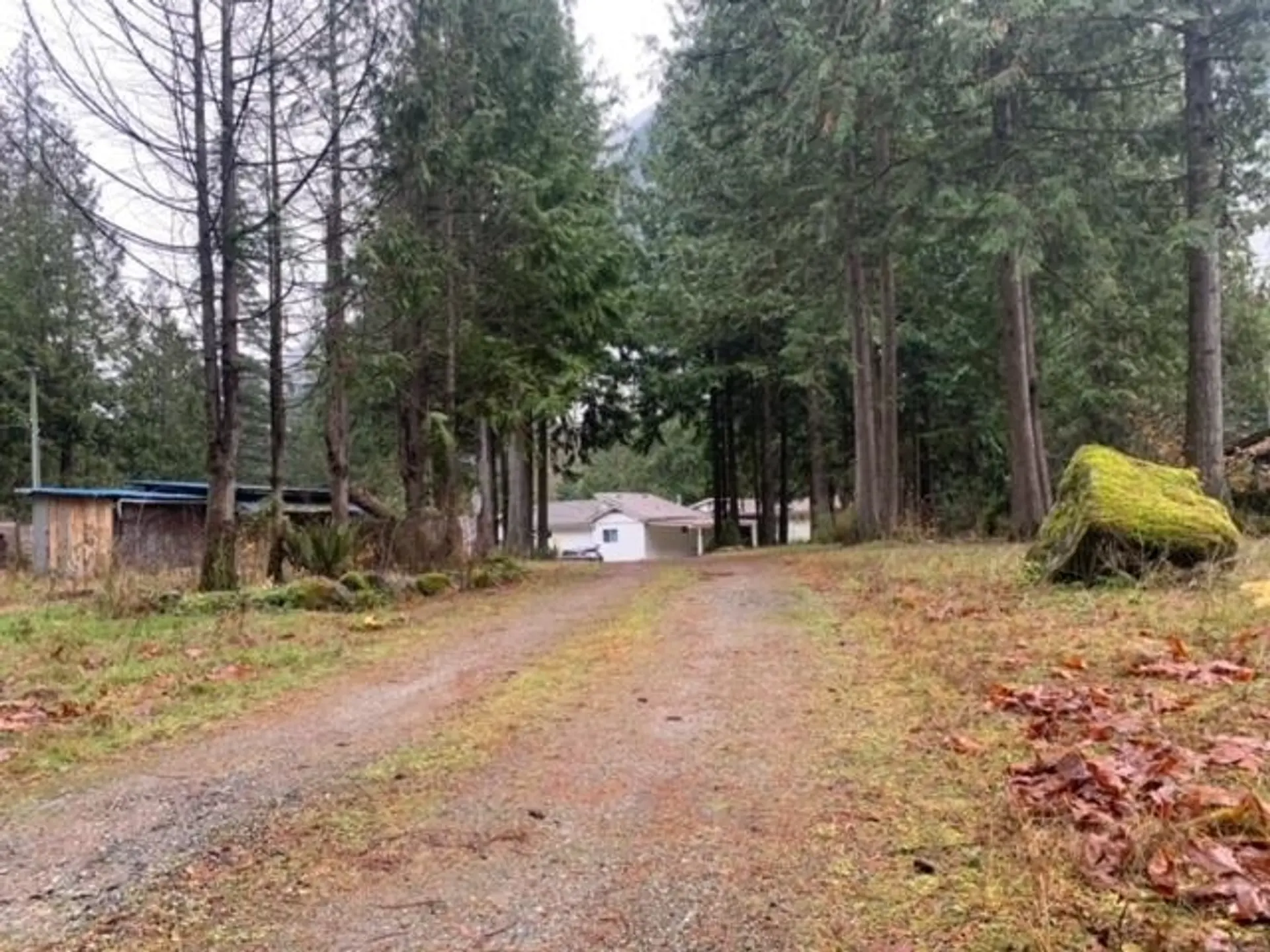 19552 Silver Skagit Road - Image 4