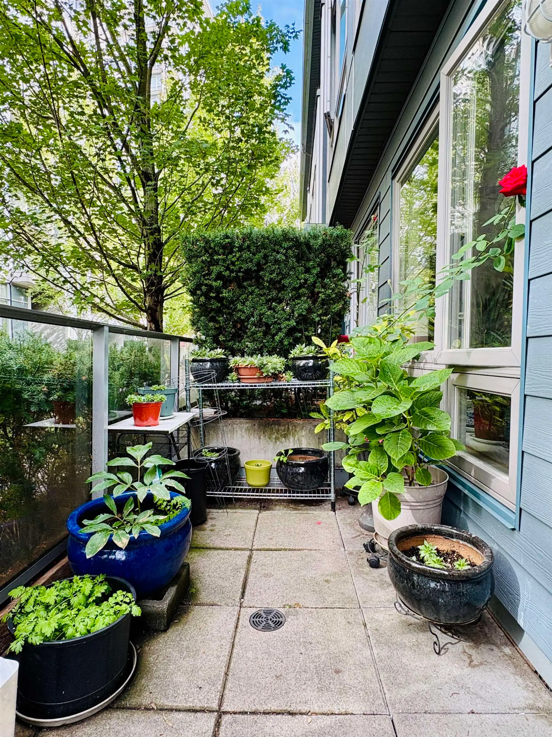 Property at 4886 Eldorado Mews, Vancouver, BC