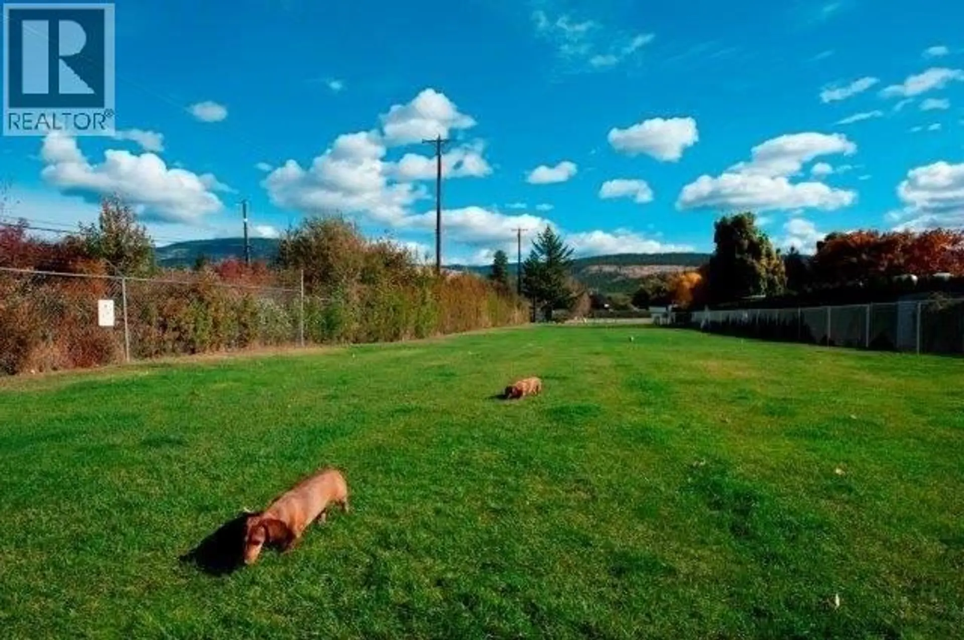 #151 415 Commonwealth Road - Image 20
