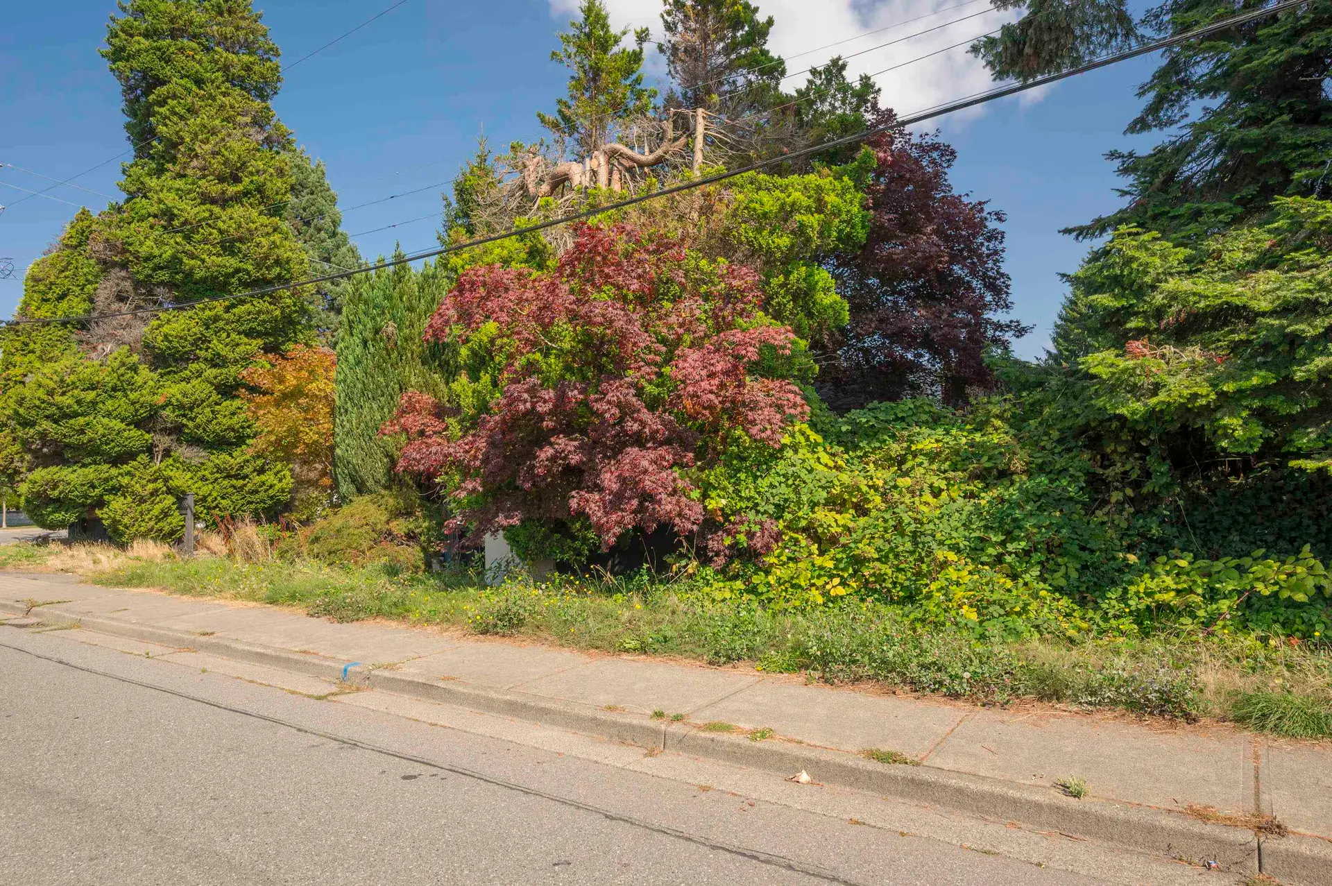 1590 Bishop Road - Image 5