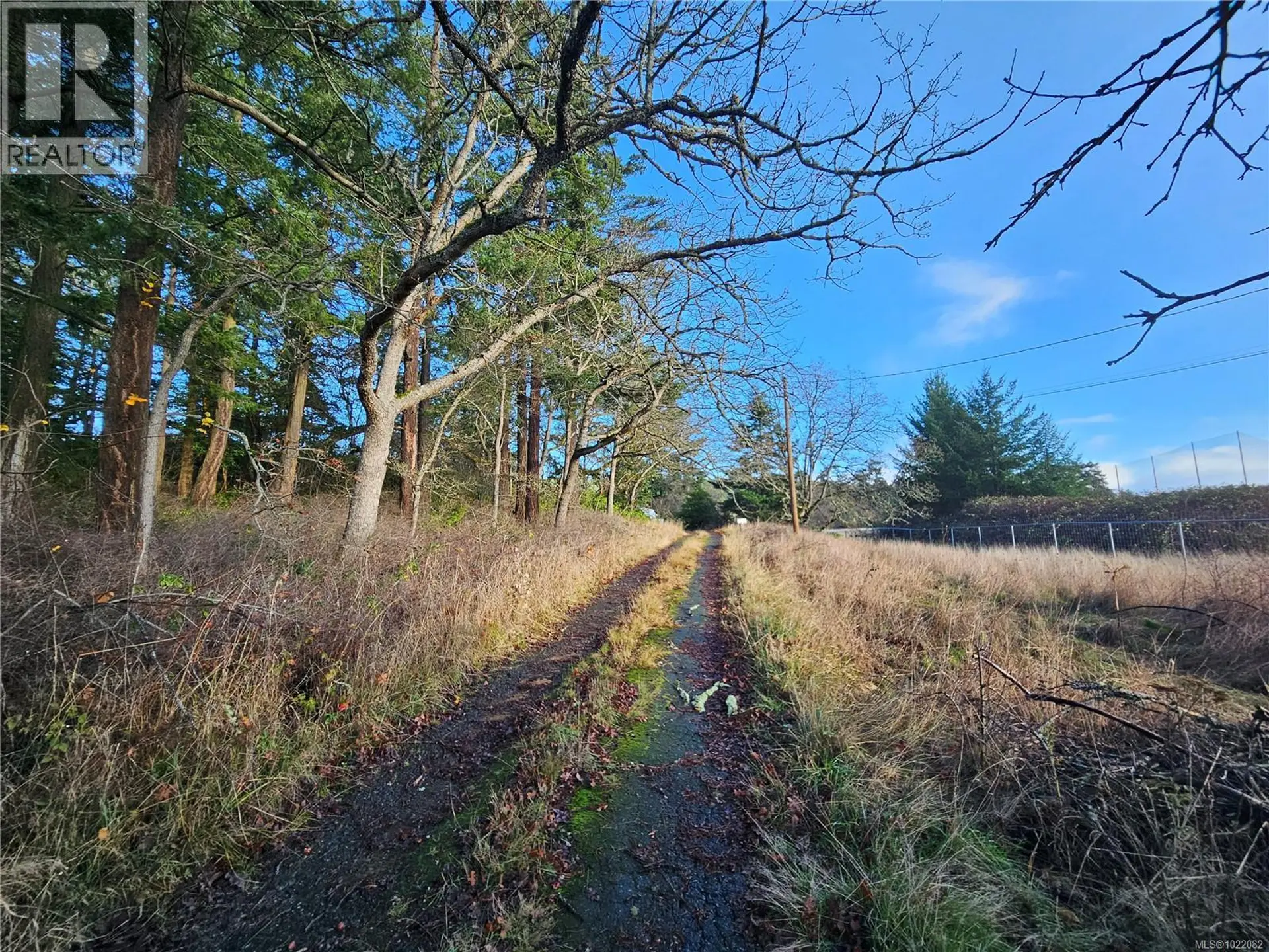 4299 Blenkinsop Rd - Image 3