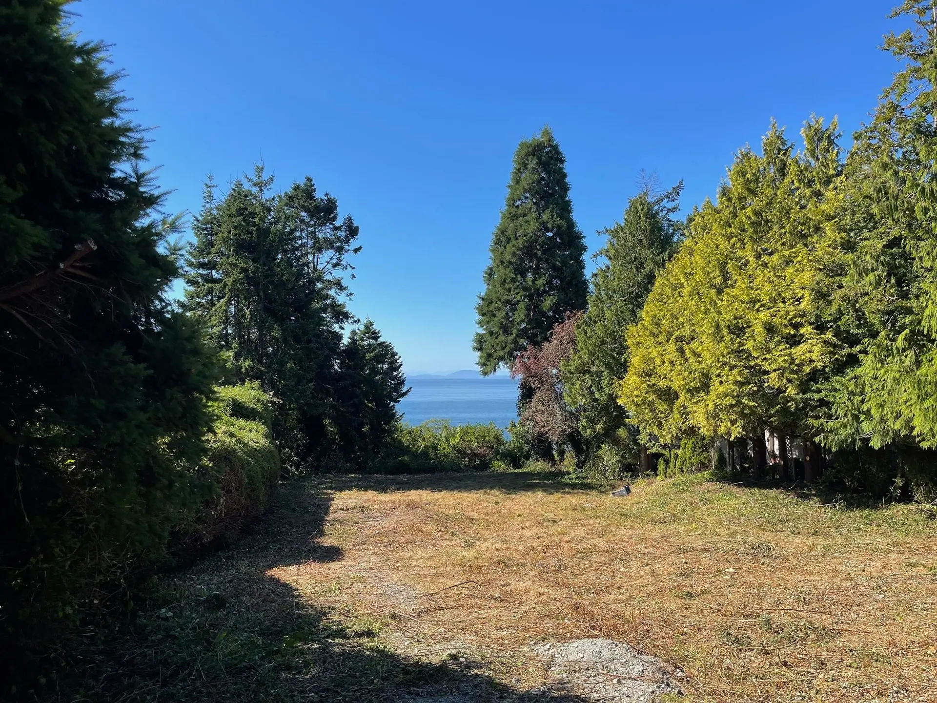 13536 13a Avenue - Image 3