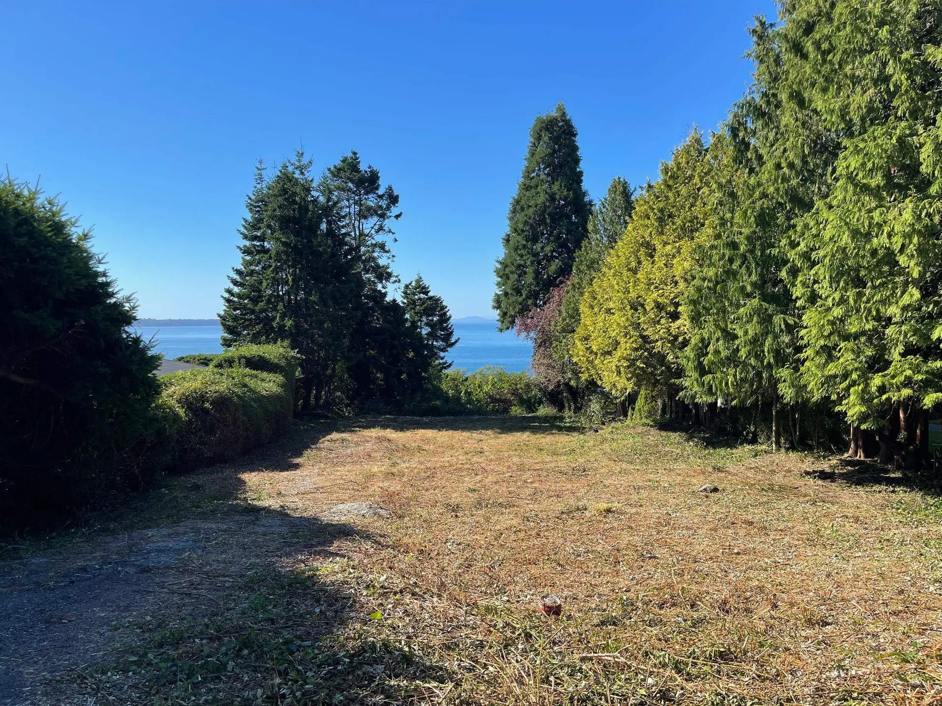 13536 13a Avenue - Image 4