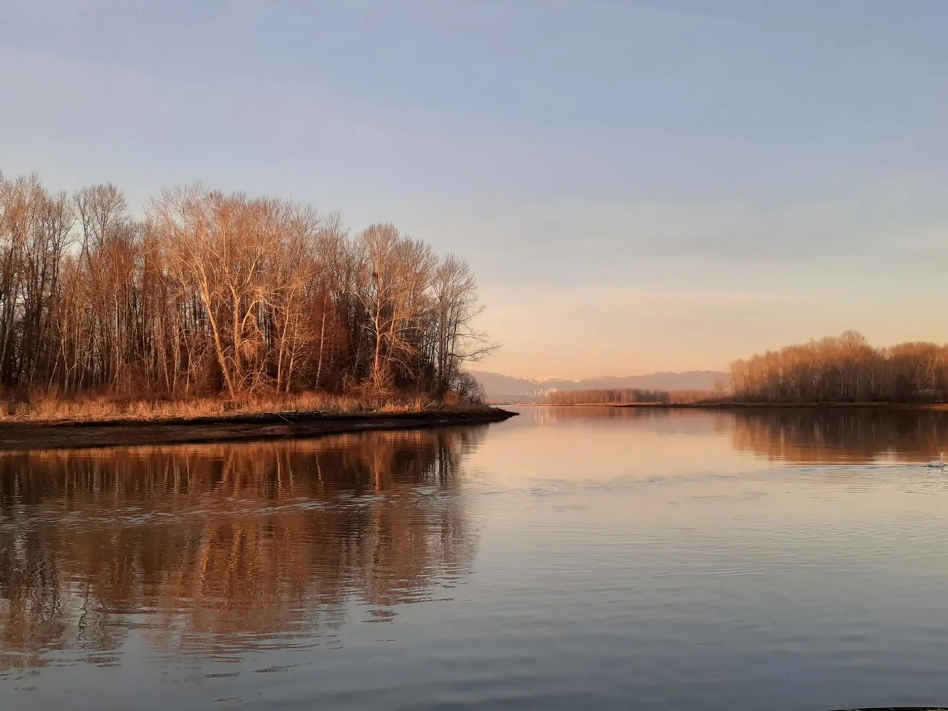 Property at #2 4485 W River Road, Delta, BC