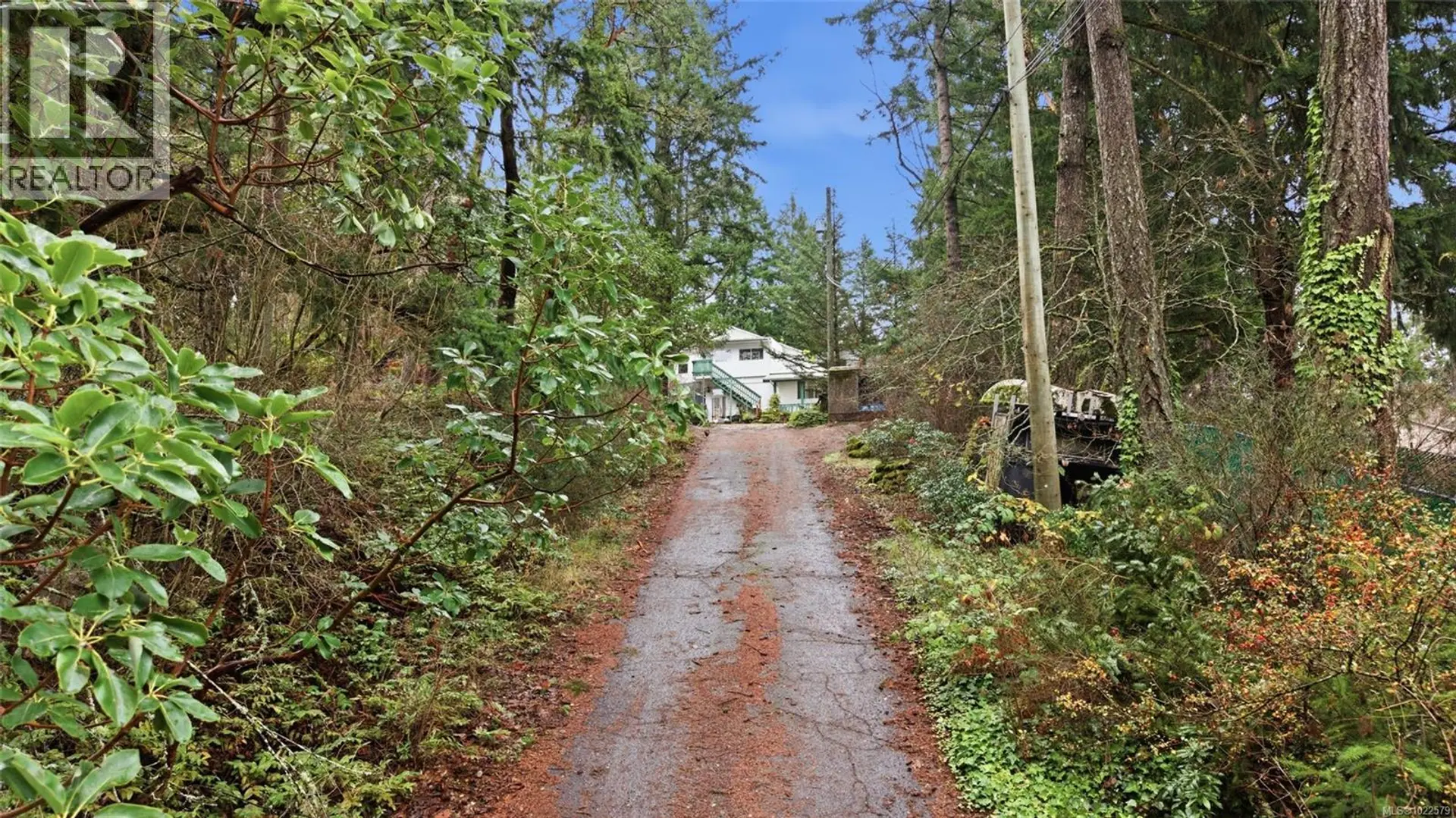 2509 Florence Lake Rd - Image 14