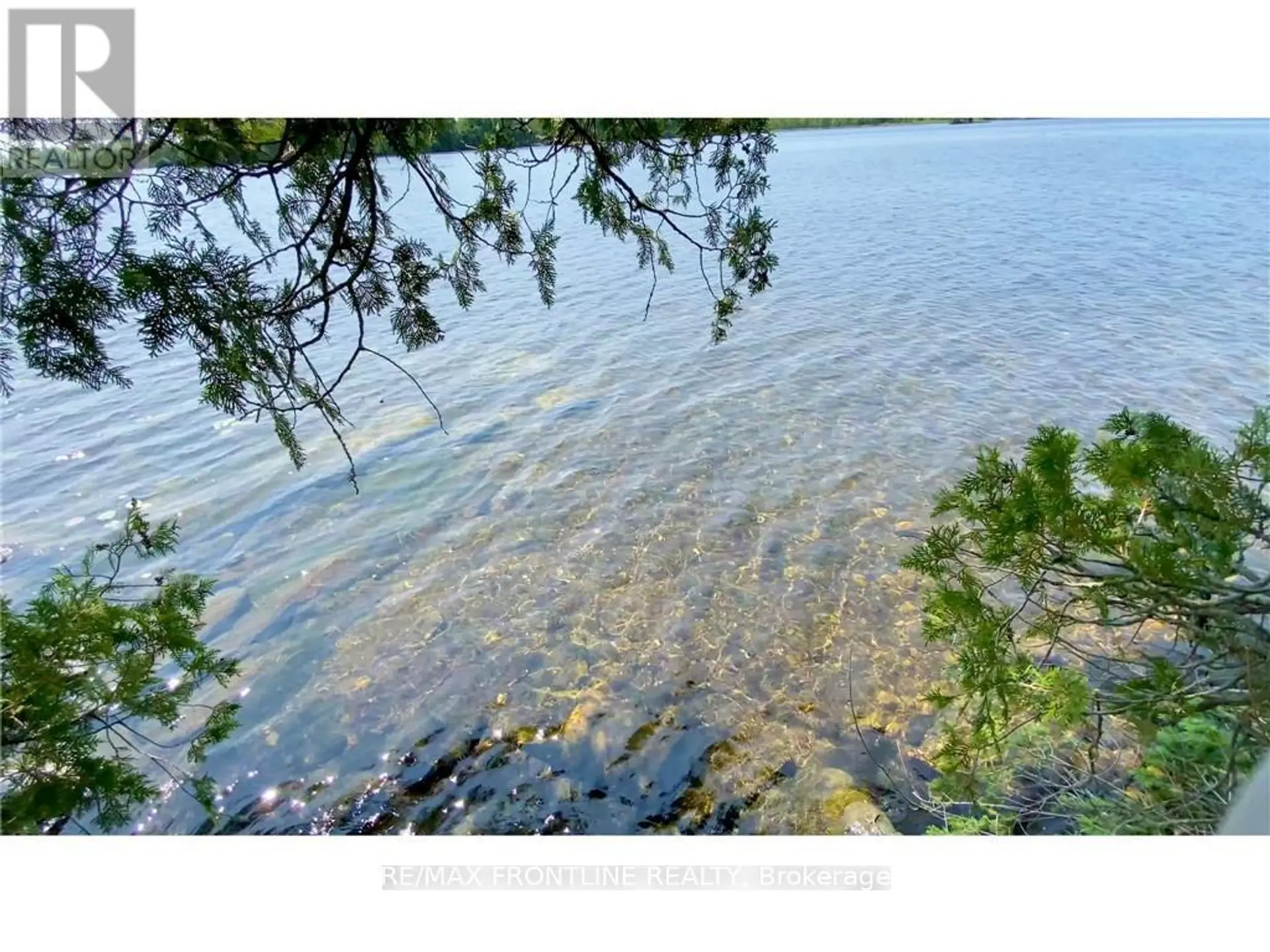 561 GRACEYS - Image 10
